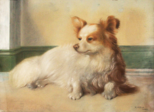 Click to see full size: 