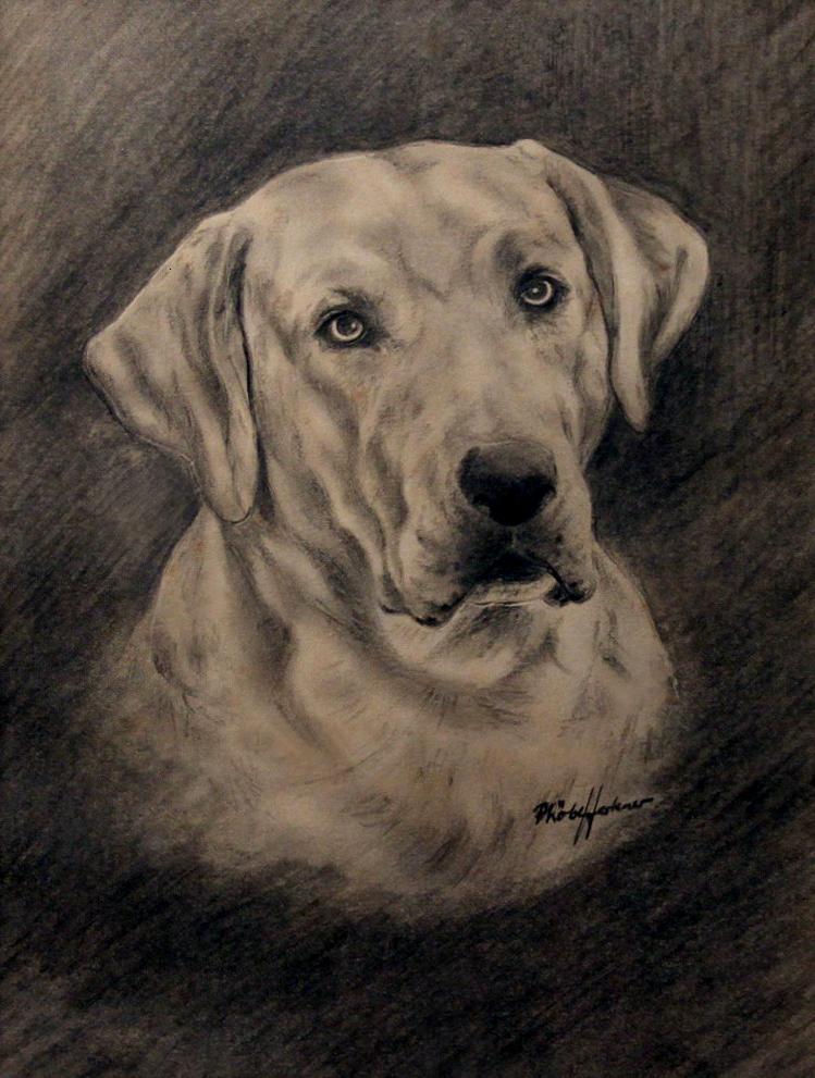 Click to see full size: 