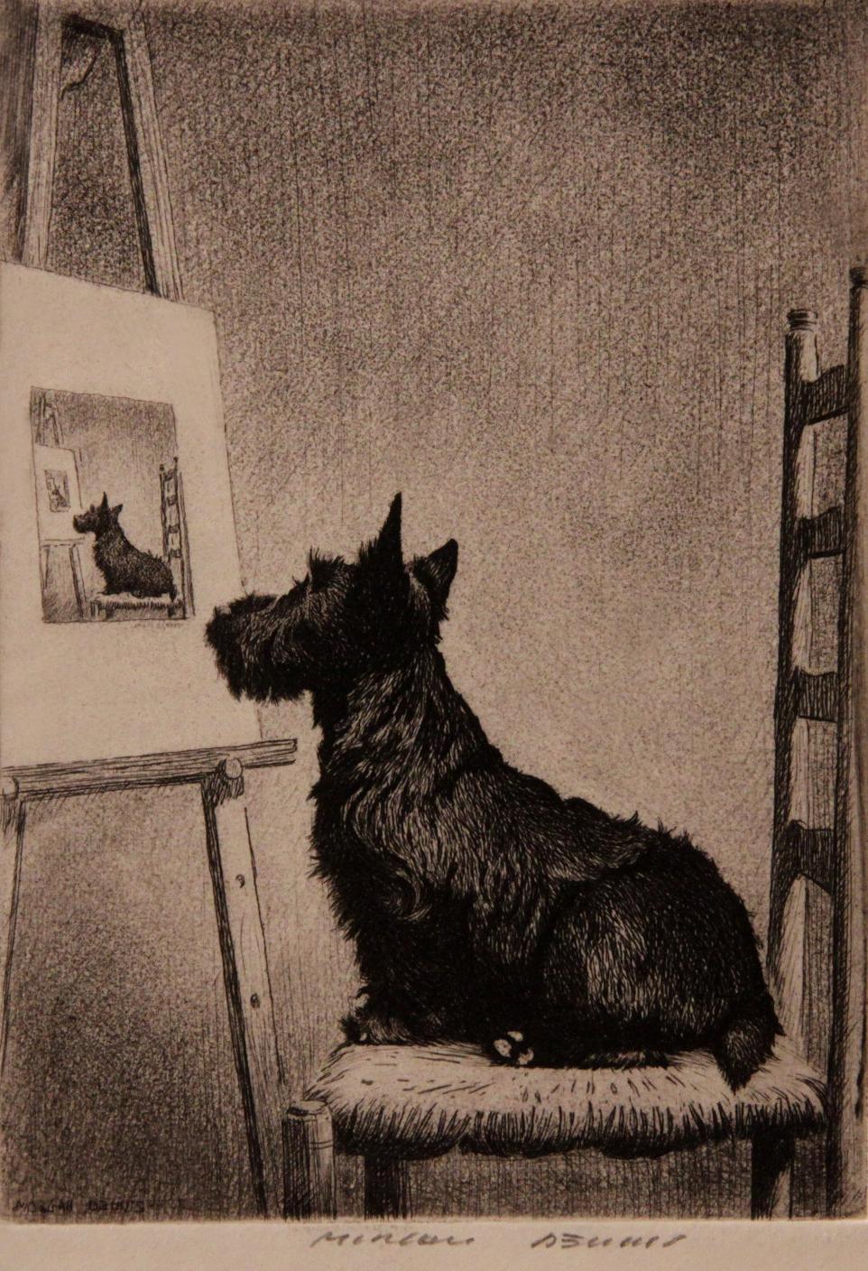 Click to see full size: Scottish Terrier, 