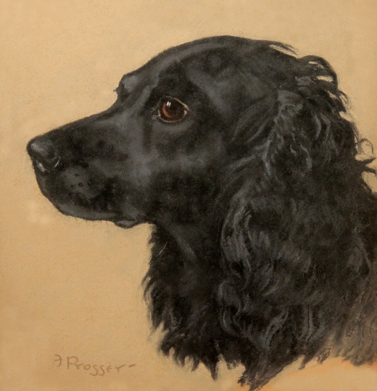 Click to see full size: 