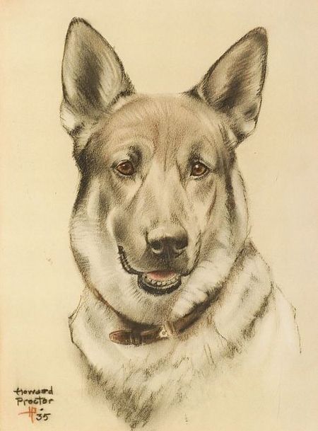 Click to see full size: German Shepherd by Howard Proctor(American, 1862-1956).