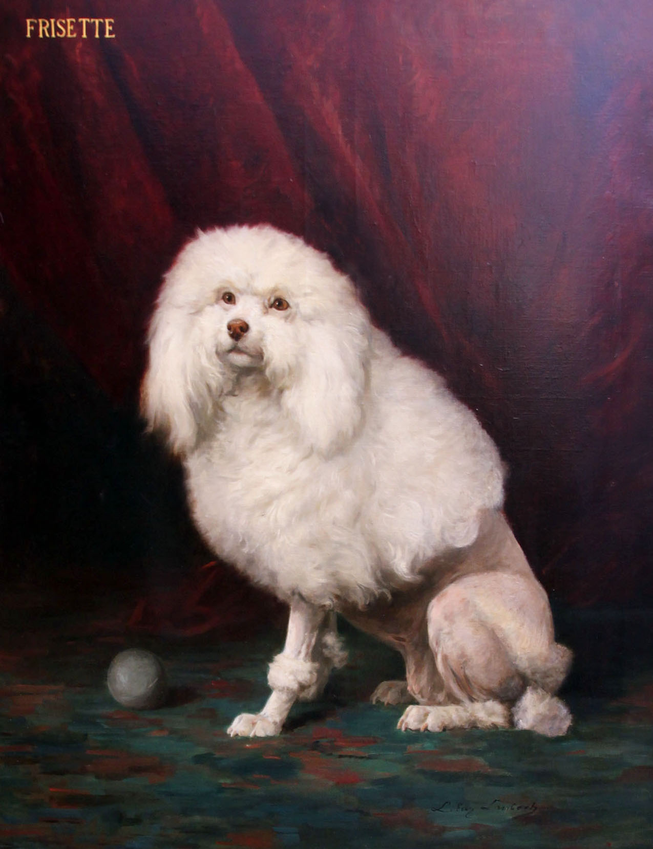 Click to see full size: Poodle 