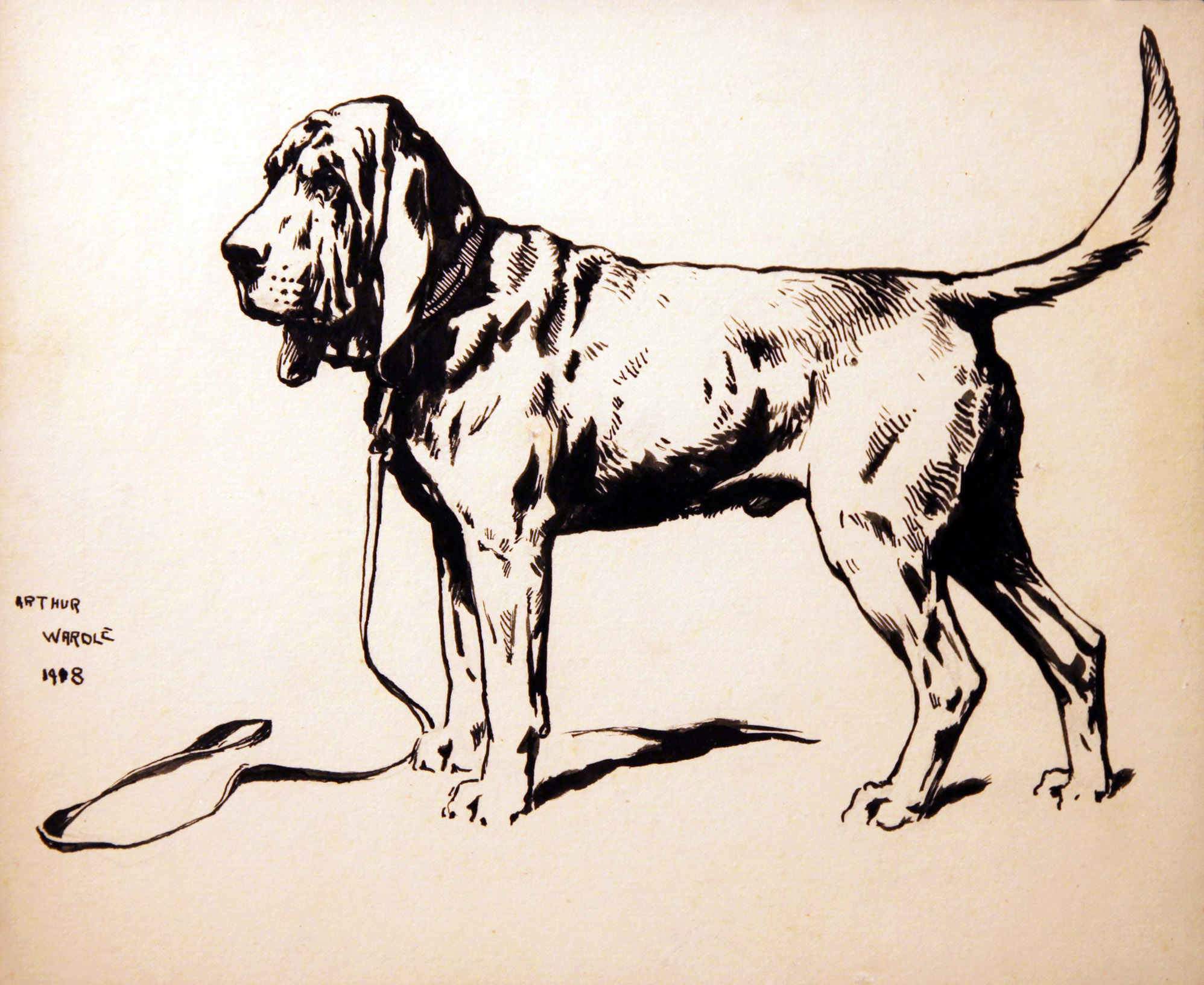 Click to see full size: Pen and ink on paper of a Bloodhound signed 