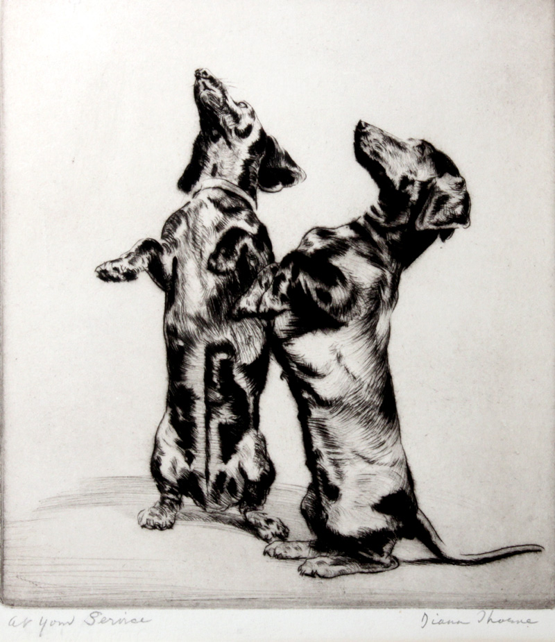 Click to see full size: Dachshund by Diana Thorne (1895-circa 1965)