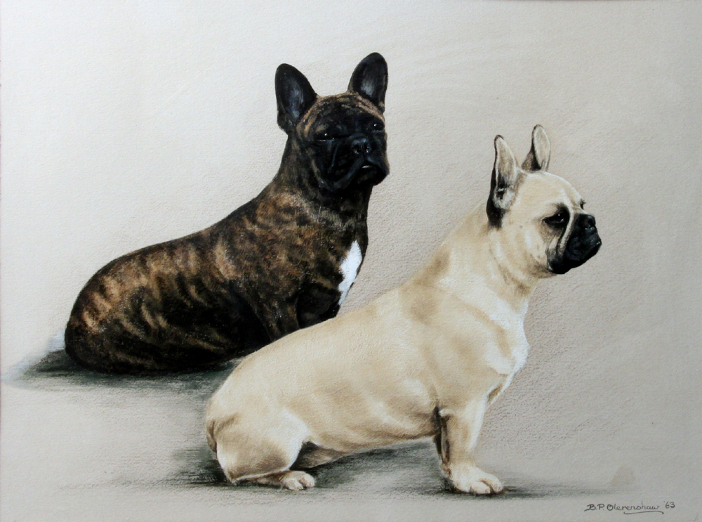 Click to see full size: Gouache of a pair of French Bulldogs by Bridget P. Olerenshaw (English, d.1989)