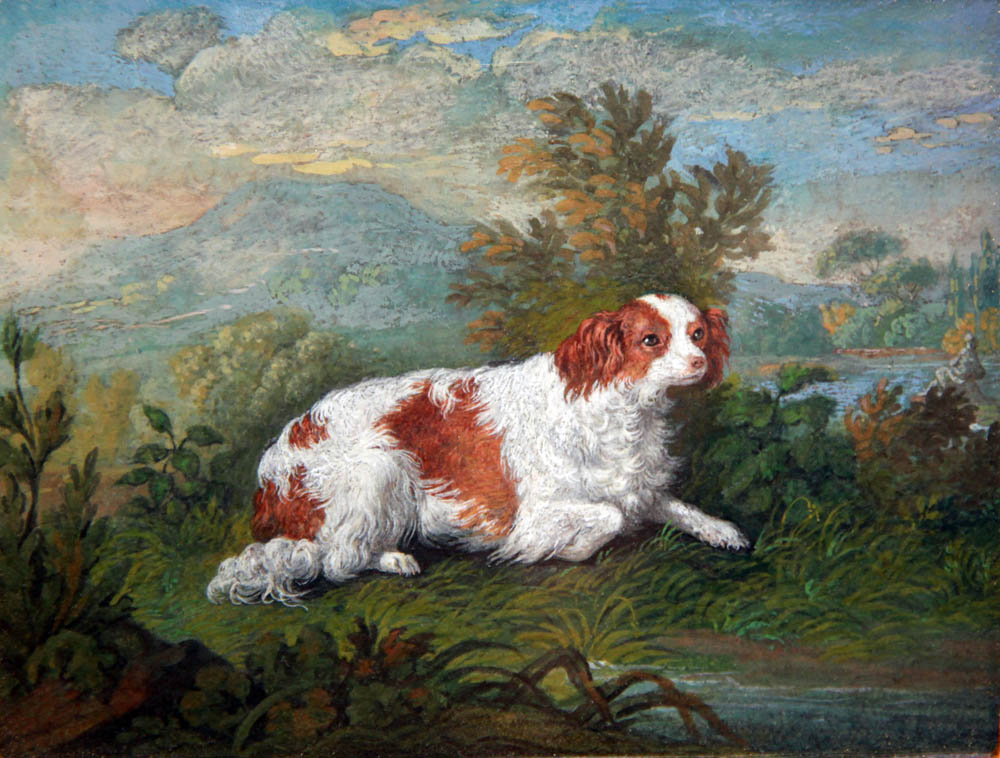 Click to see full size: King Charles Cavalier Spaniel miniature