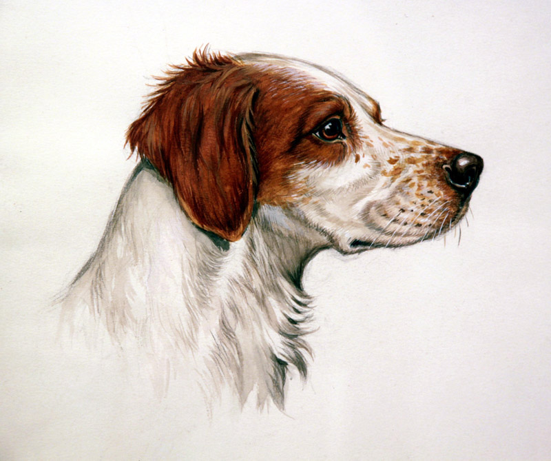 Click to see full size: Brittany Spaniel by Jean Herblet (French, 1895-1985)