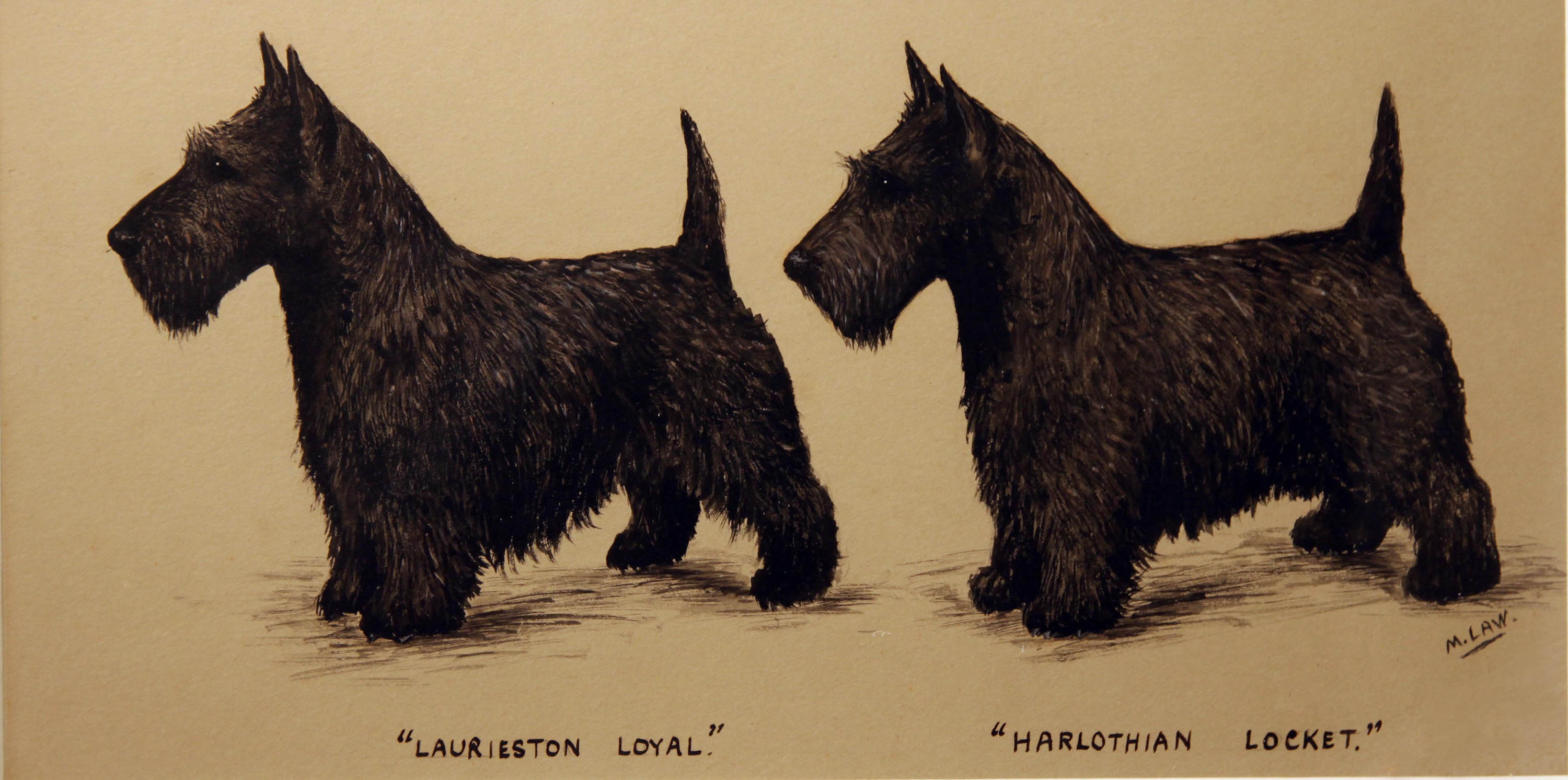 Click to see full size: 