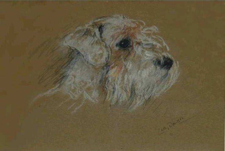 Click to see full size: Coloured chalks on buff paper of a head study of a Sealyham Terrier by Lucy Dawson (1877 -1958).