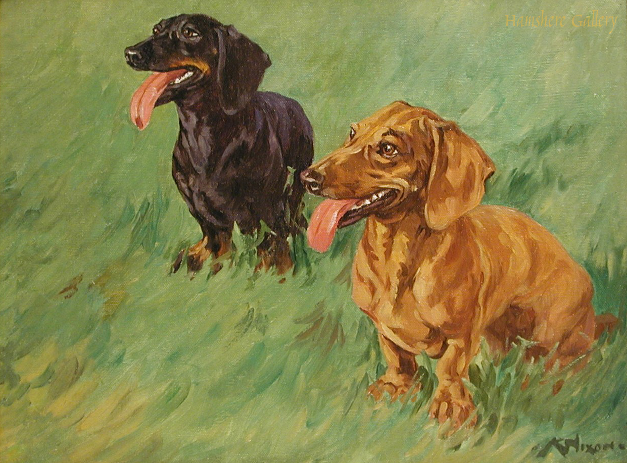 Click to see full size: Dachshunds 