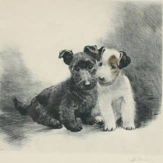 Click to see full size: Aquatint etching on paper of seated Scottish Terrier and Sealyham Terrier puppies by Kurt Meyer-Eberhardt (German 1895-1977)
