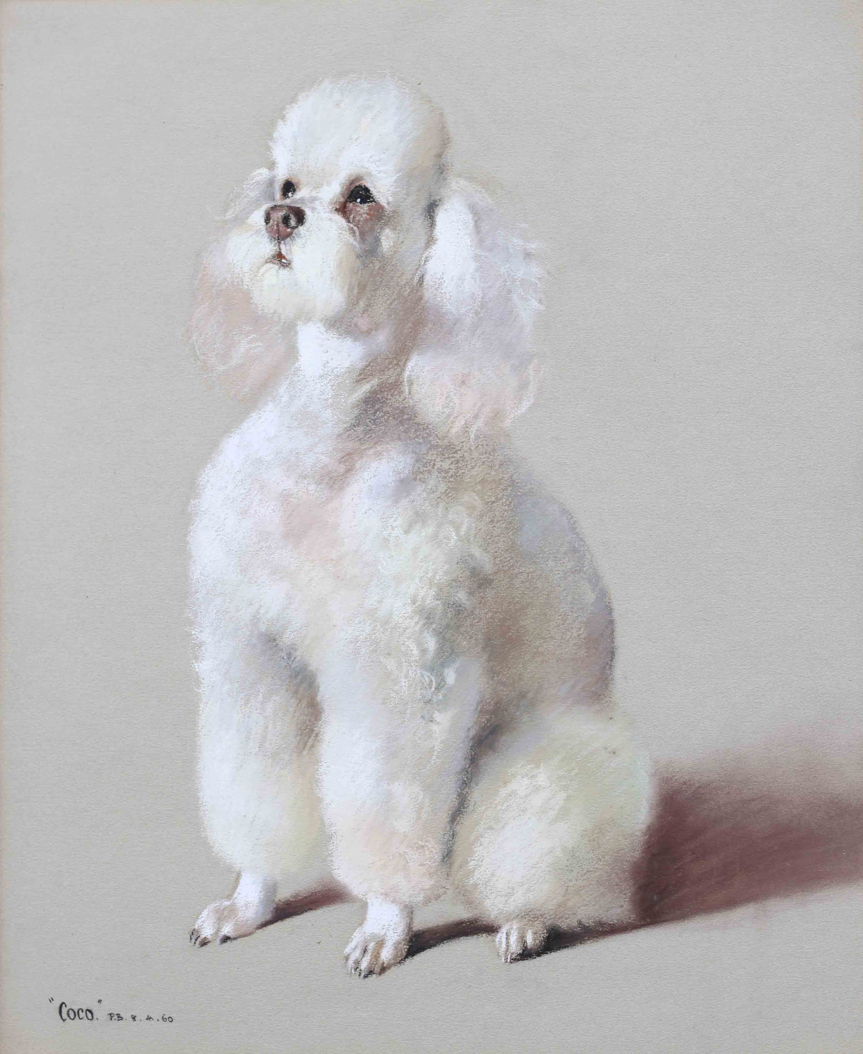 Click to see full size: Pastel on paper of a Poodle by Phyllis Binet- Pastel on paper of a Poodle by Phyllis Binet 