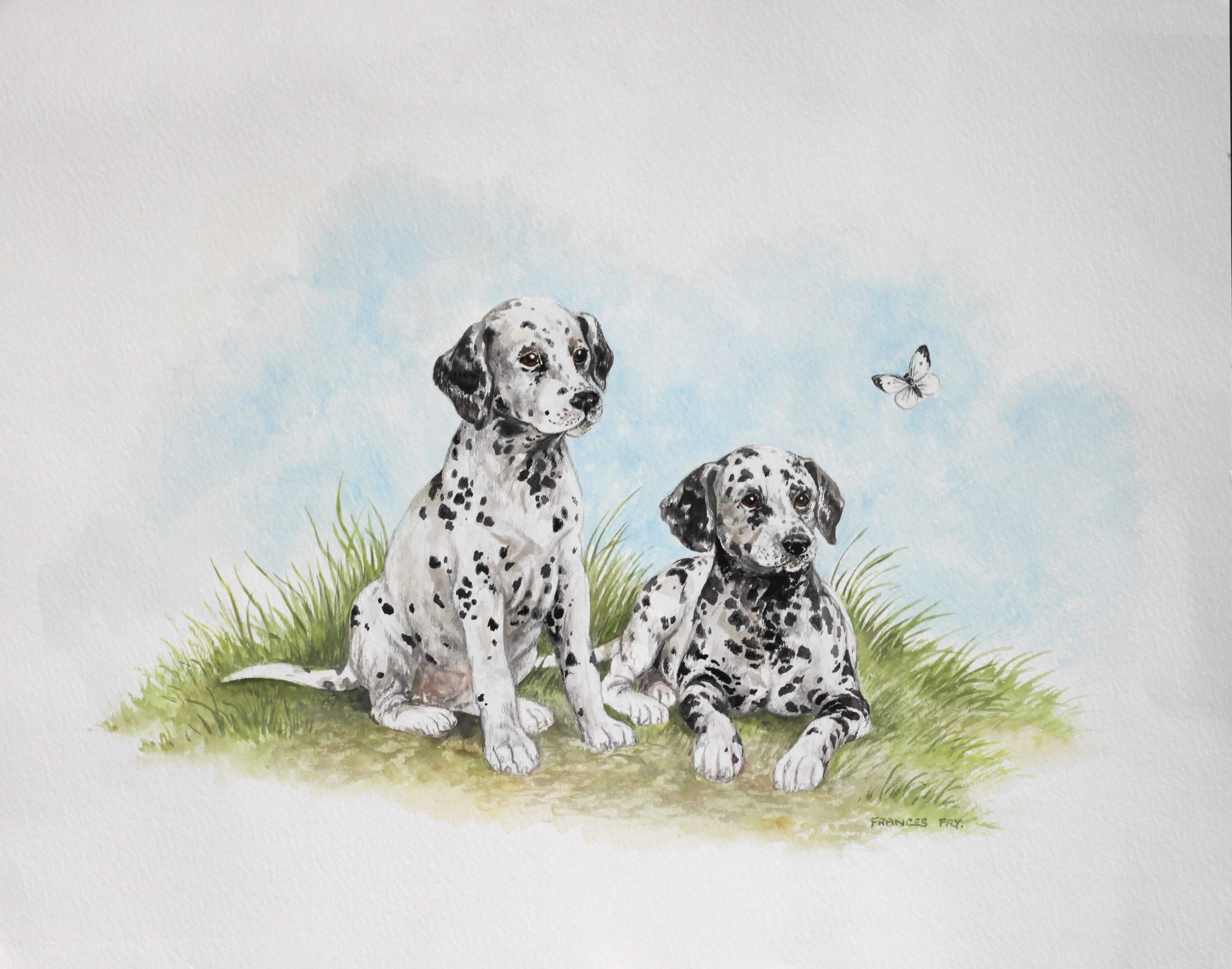 Click to see full size: Watercolour on paper of Dalmatian puppies, one seated one lying both fascinated by large Cabbage White butterfly in flight