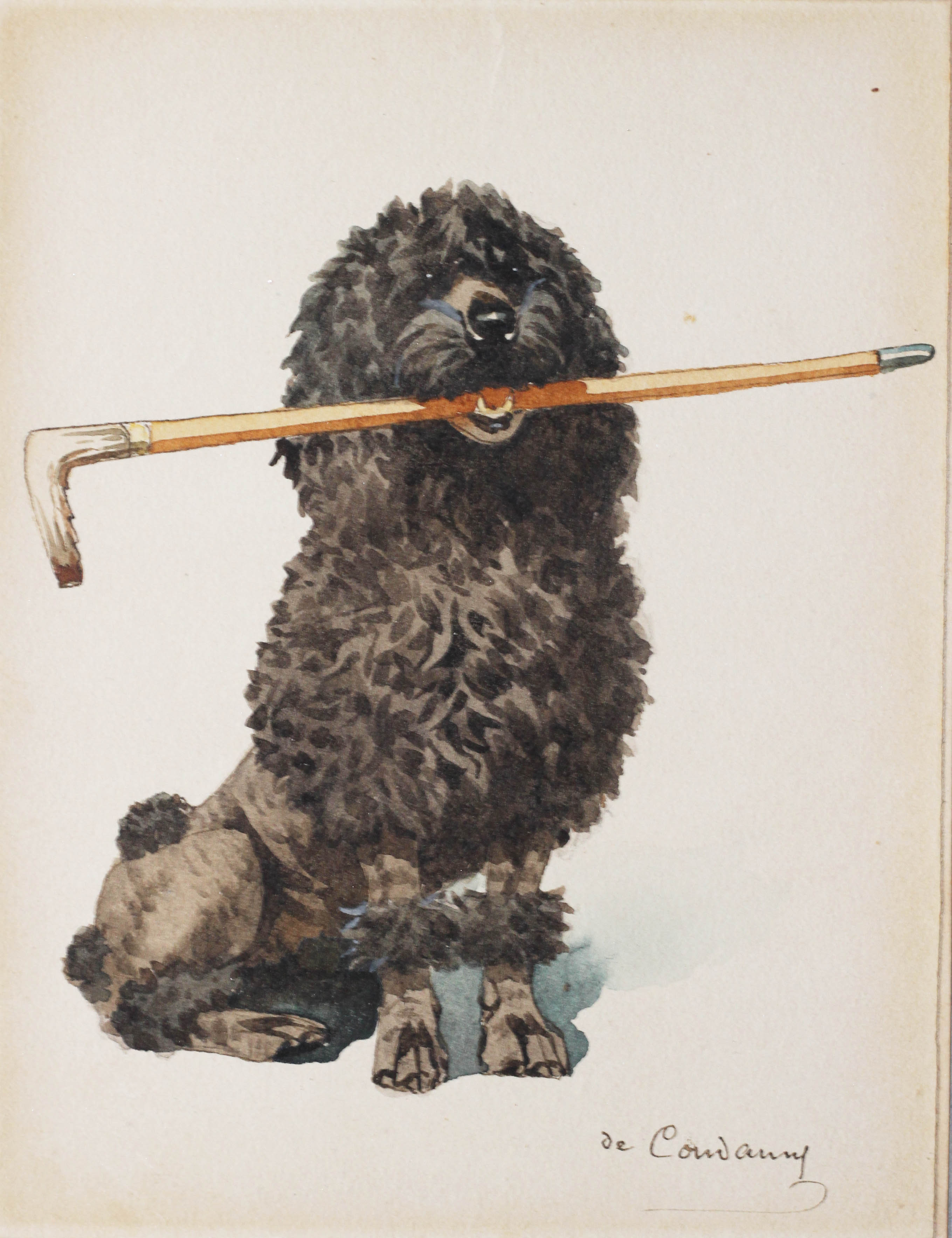 Click to see full size: A watercolour of a Poodle holding a cane- A watercolour of a Poodle holding a cane
