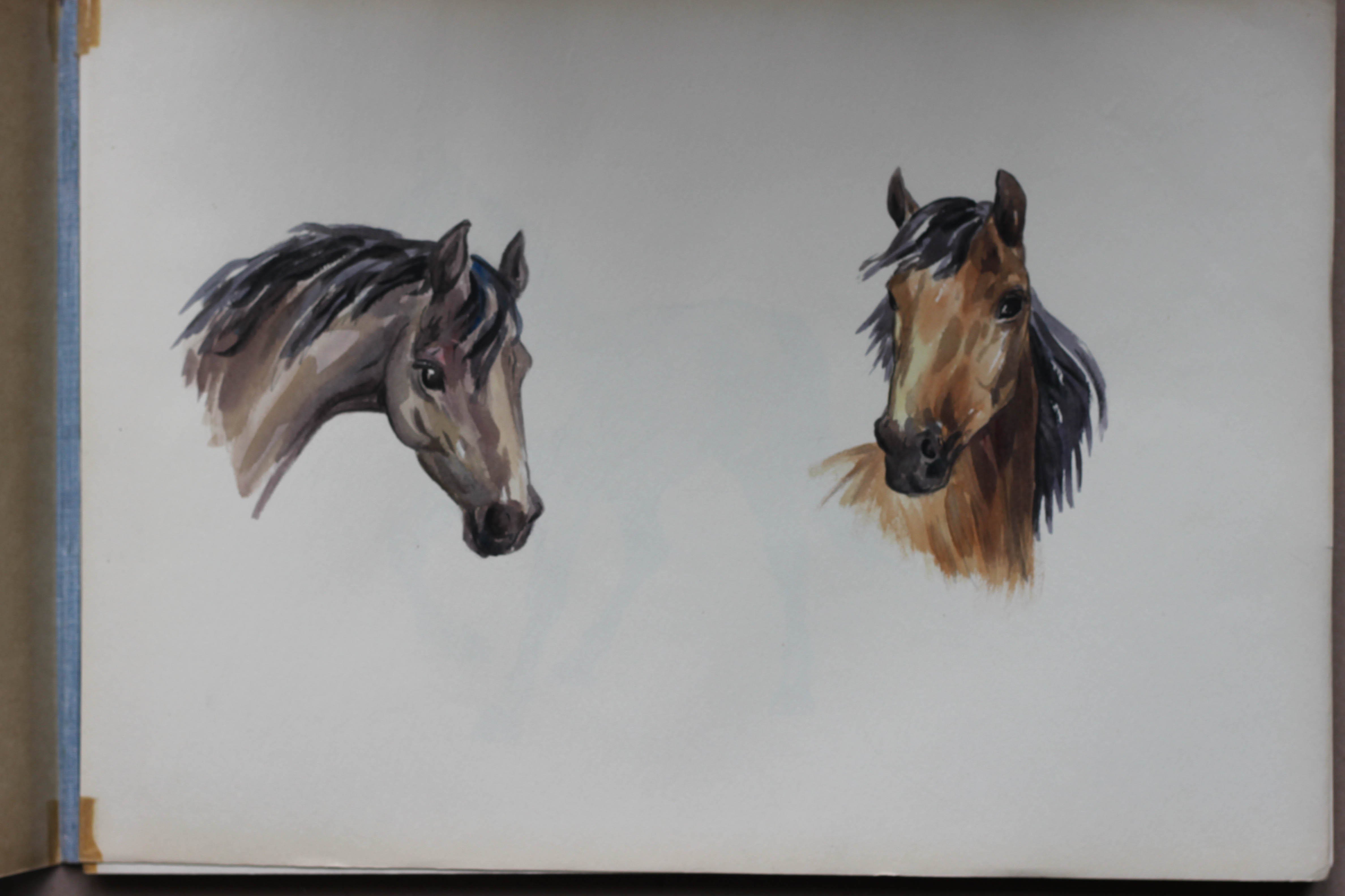 Click to see full size: A ?Sketch Book of Horse Studies? by ?Frances Fry? 01- A ?Sketch Book of Horse Studies? by ?Frances Fry?