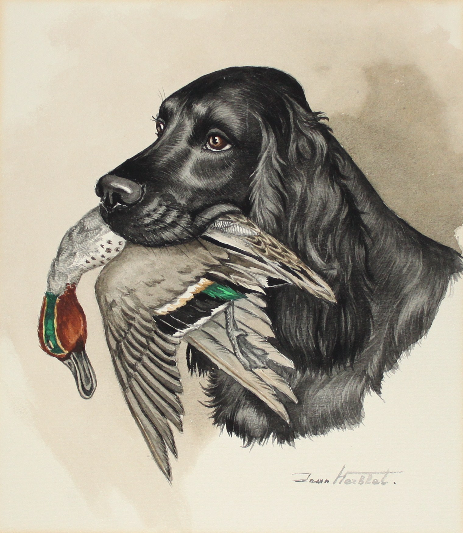Click to see full size: Flat-coated Retriever with a duck by Jean Herblet (1893-1985)