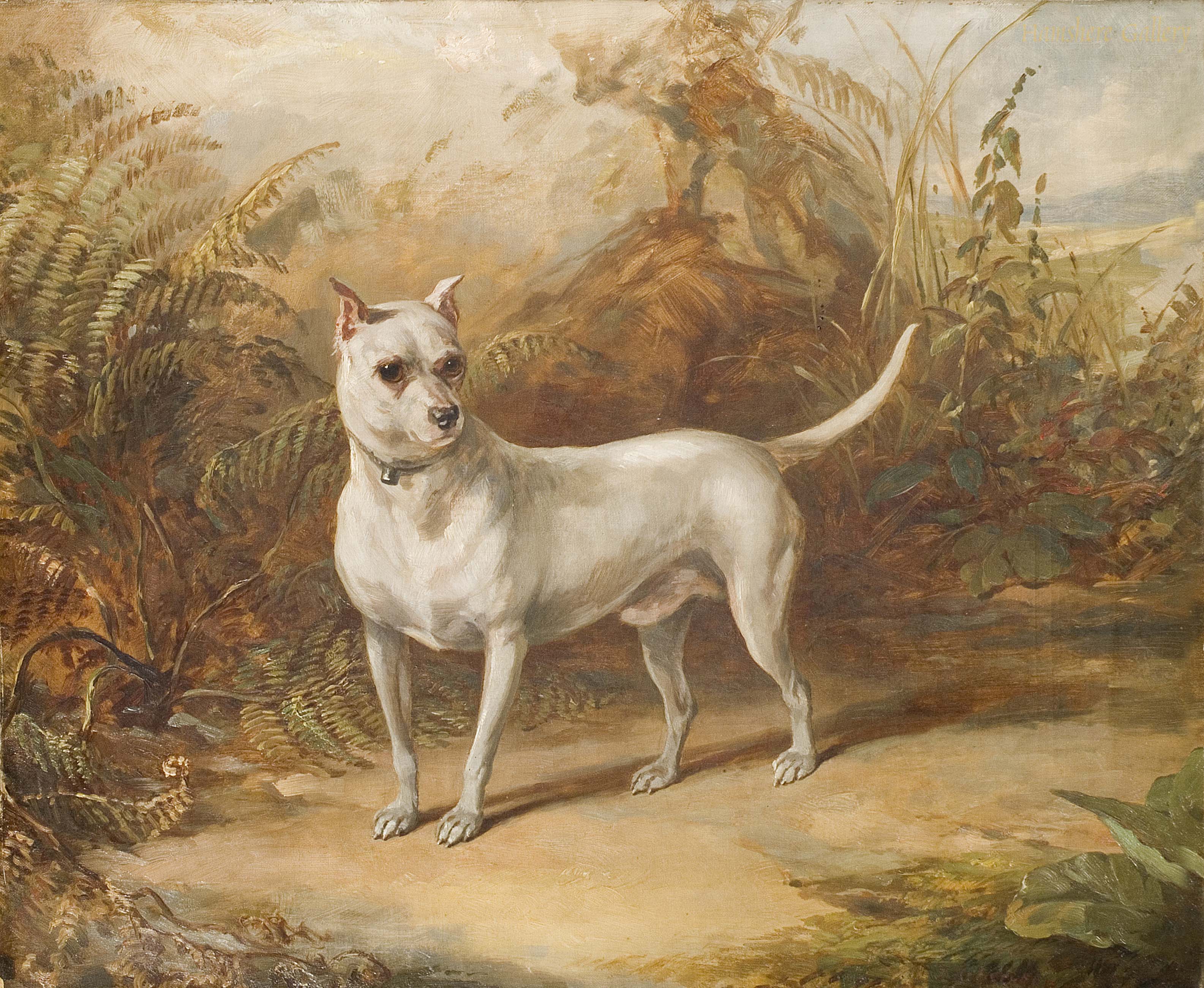 Click to see full size: English Terrier by I Robertson