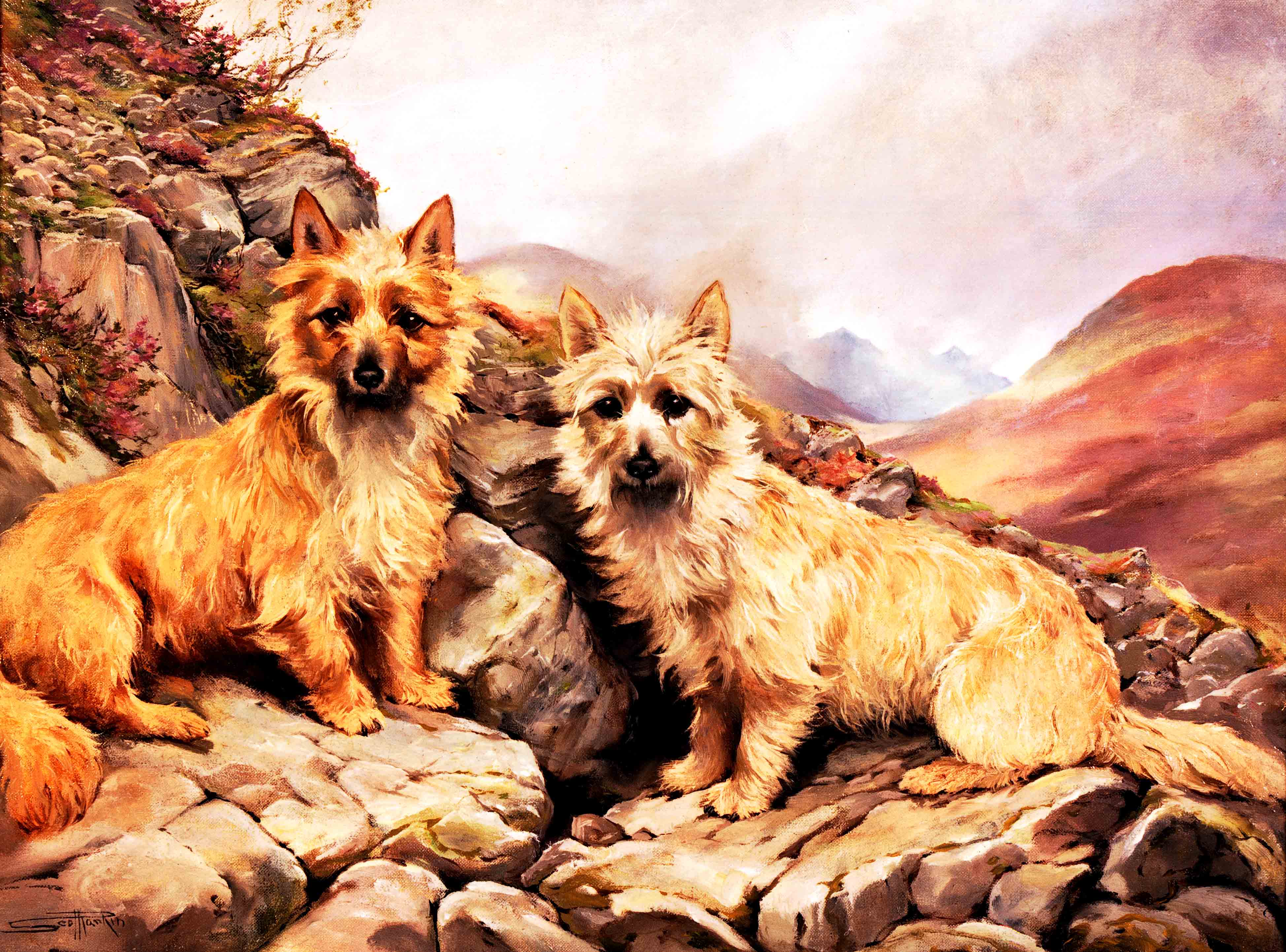 Click to see full size:  ?Cairns on the Cairns ?-  Scott Rankin, Scottish, (1868 ? 1942), oil on canvas, ?Cairns on the Cairns ? (Short ?haired Skye Terrier), circa, 1905.  