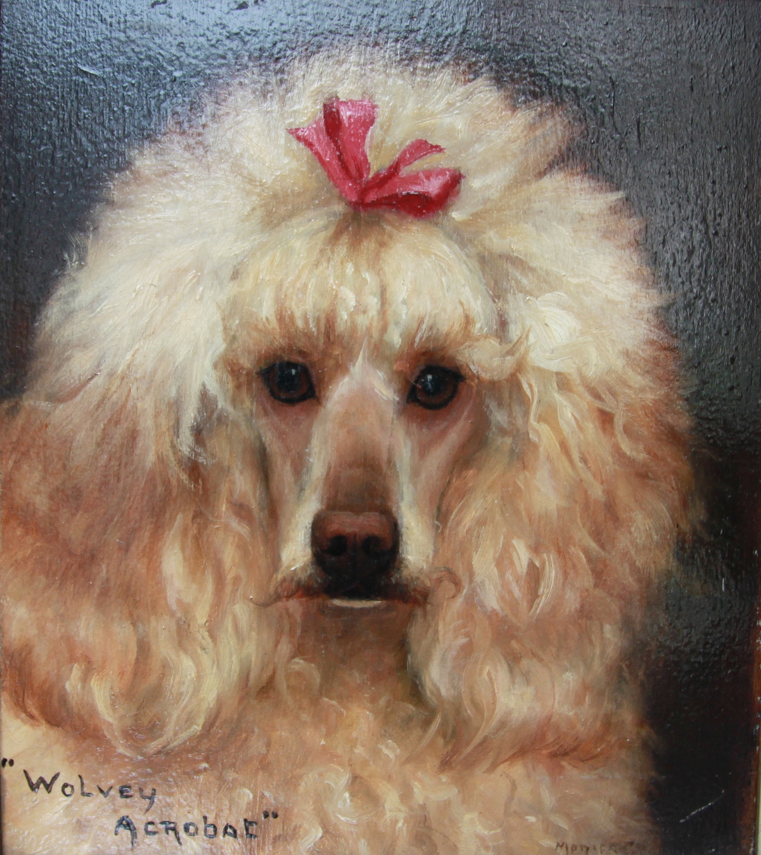 Click to see full size: Poodle ?Wolvey Acrobat? by Monica Gray (exh 1903-1919)
