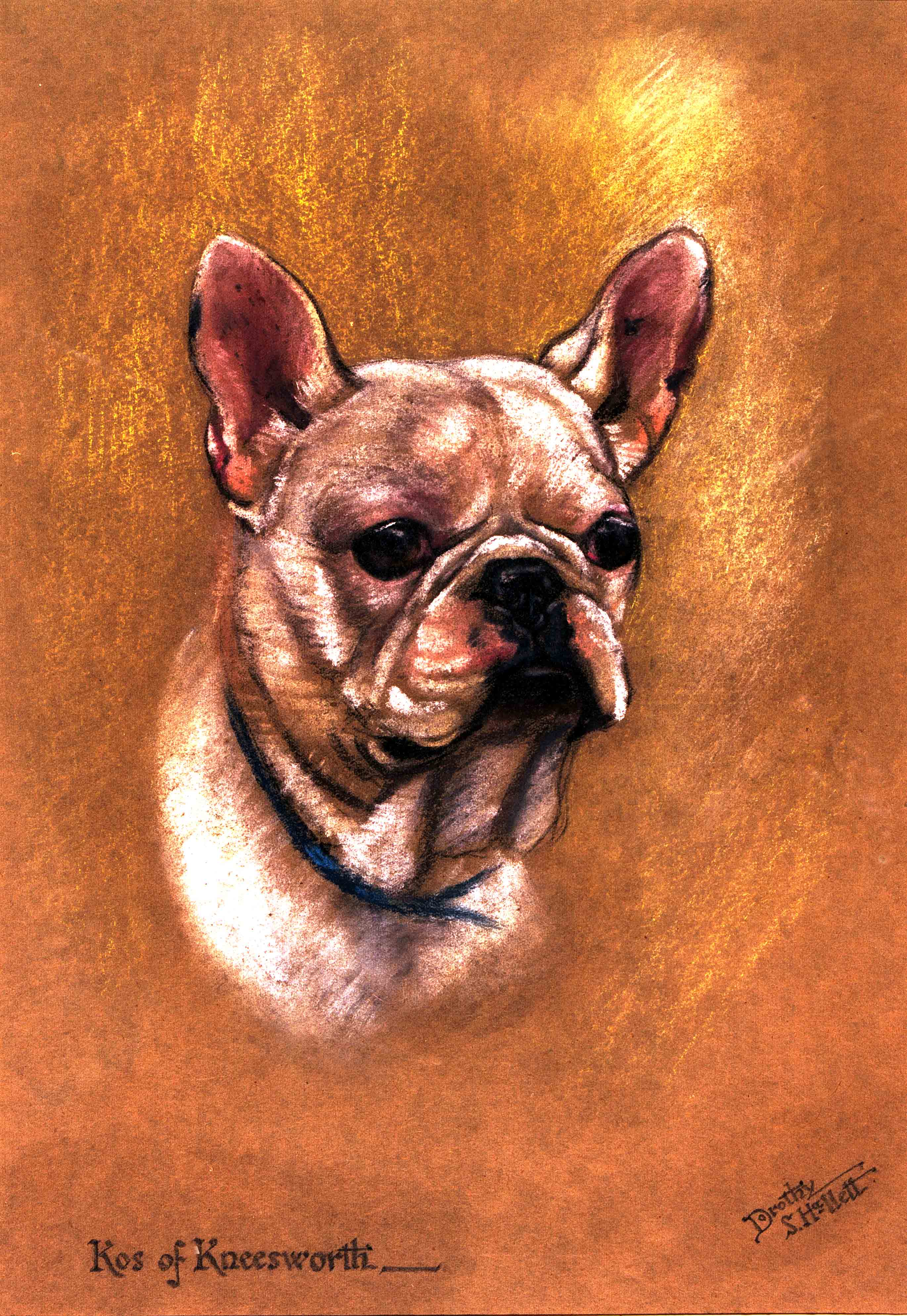Click to see full size:  ?Kos of Kneesworth?- Dorothy S Hallett, English, fl, 1913 ? 1934, pastel on paper, ?French Bulldog? ?Kos of Kneesworth?, English, circa 1920