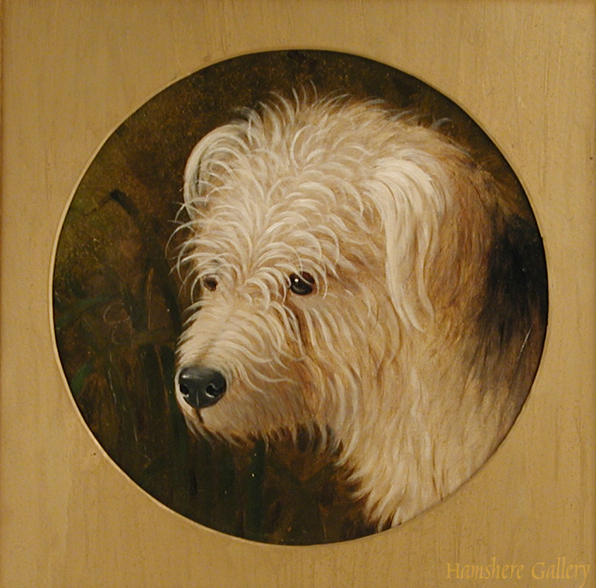 Click for larger image: 19th English Provincial School oil of a Dandy Dinmont type terrier - 19th English Provincial School oil of a Dandy Dinmont type terrier