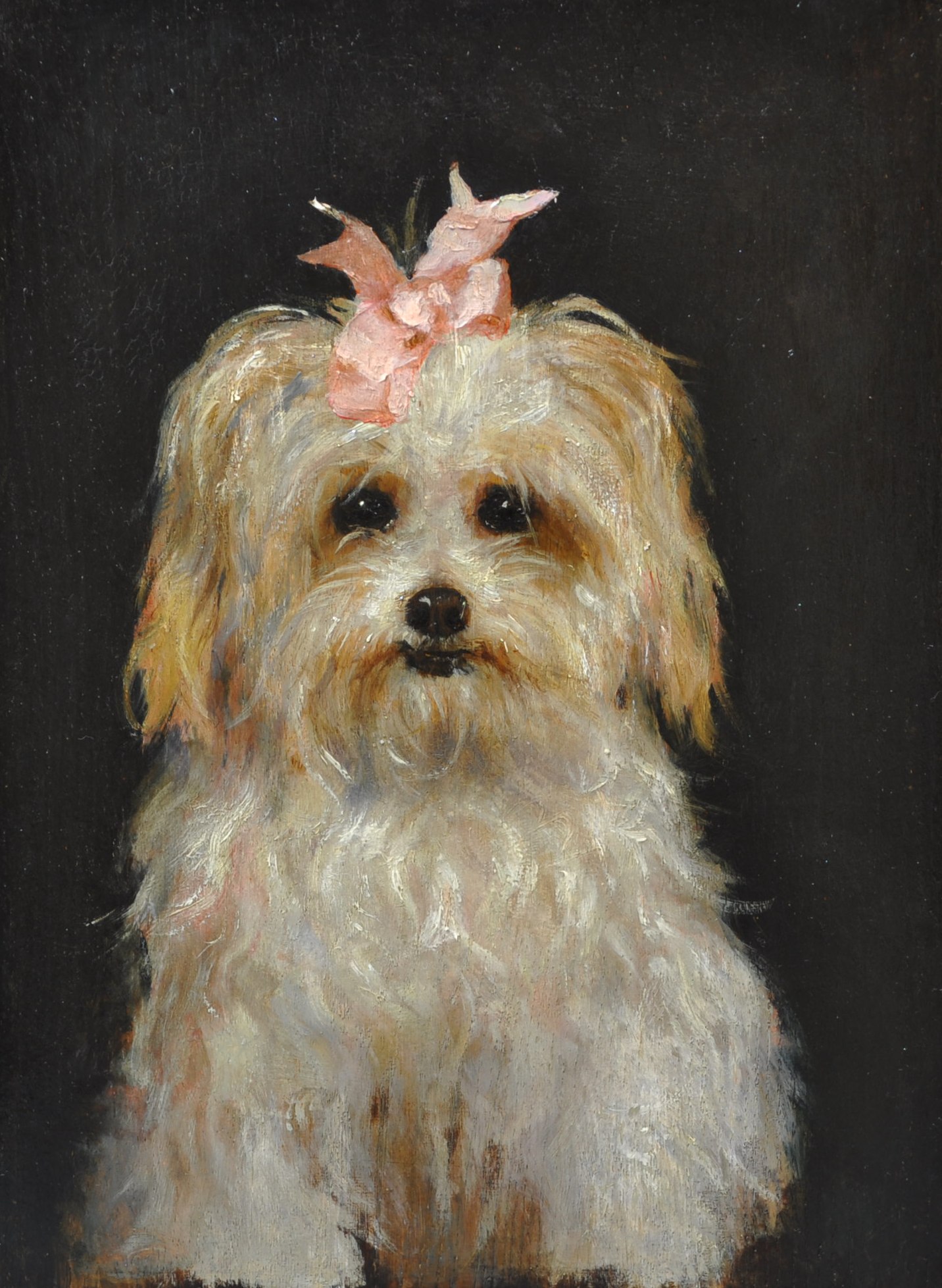 Click to see full size: 19th century, French, oil on panel of a seated Maltese wearing a pink satin bow. French, circa 1880- 19th century, French, oil on panel of a seated Maltese wearing a pink satin bow. French, circa 1880
