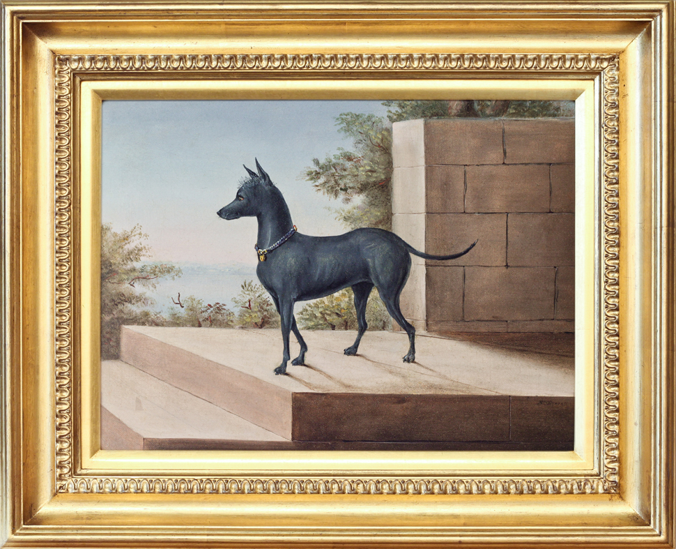 Click for larger image: Oil on canvas painting of a Chinese Crested - Oil on canvas painting of a Chinese Crested