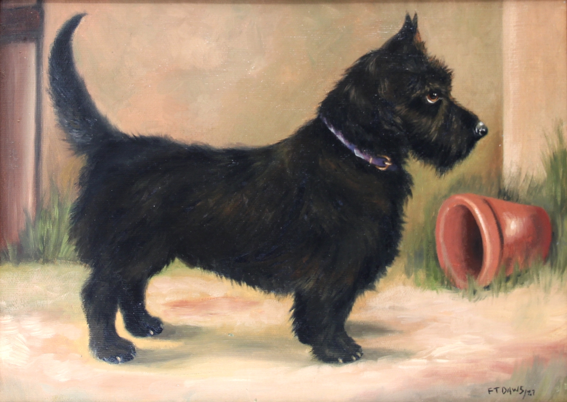 Click to see full size: Oil painting on canvas of a Scottish Terrier by Thomas Frederick Daws RA 