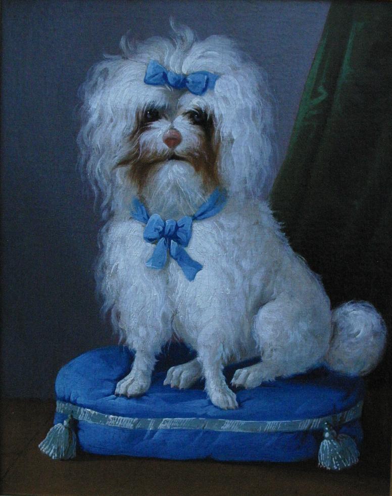 Click to see full size: French 19th century oil on canvas Poodle / Maltese type  SOLD