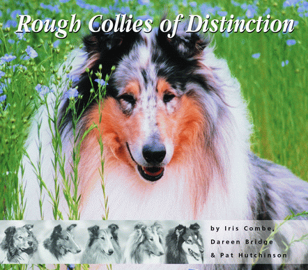 Click to see full size: Rough Collies of Distinction