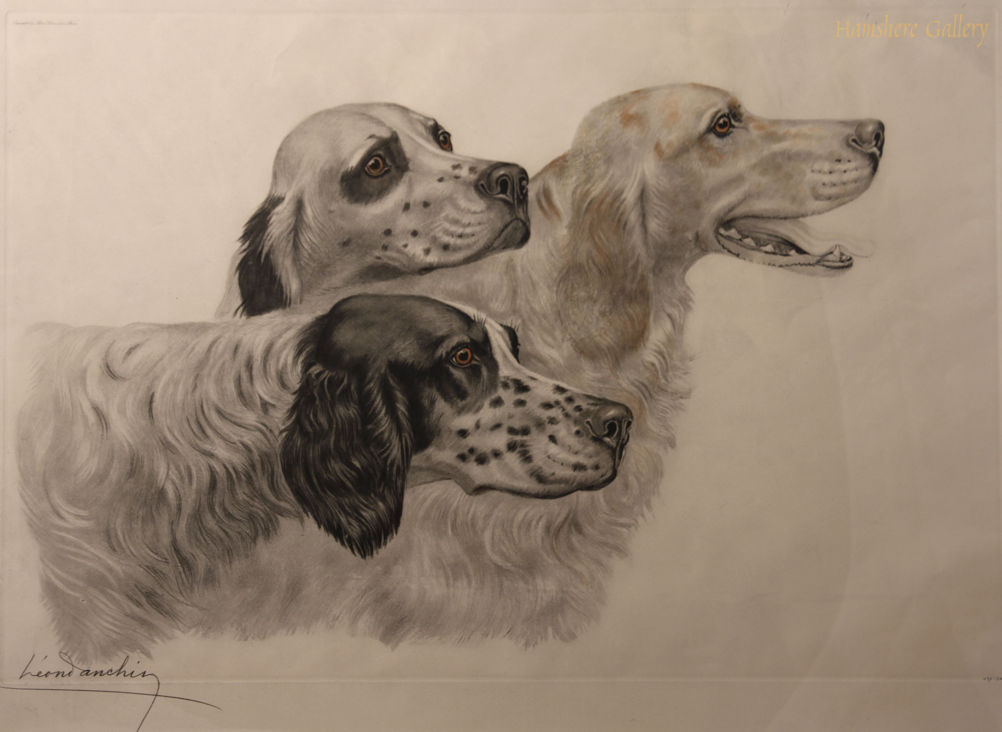 Click to see full size: English Setters by L�on Danchin