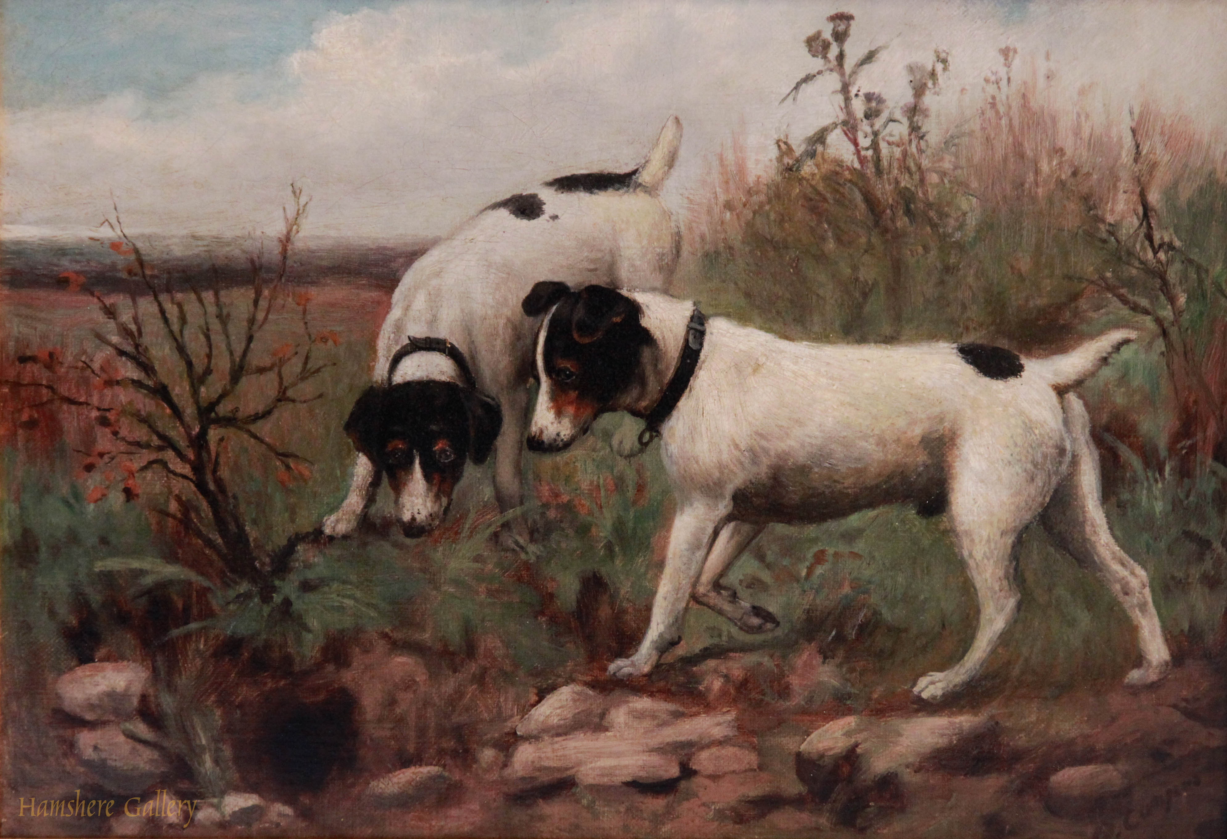 Click to see full size: Jack Russell Terriers by B Copper