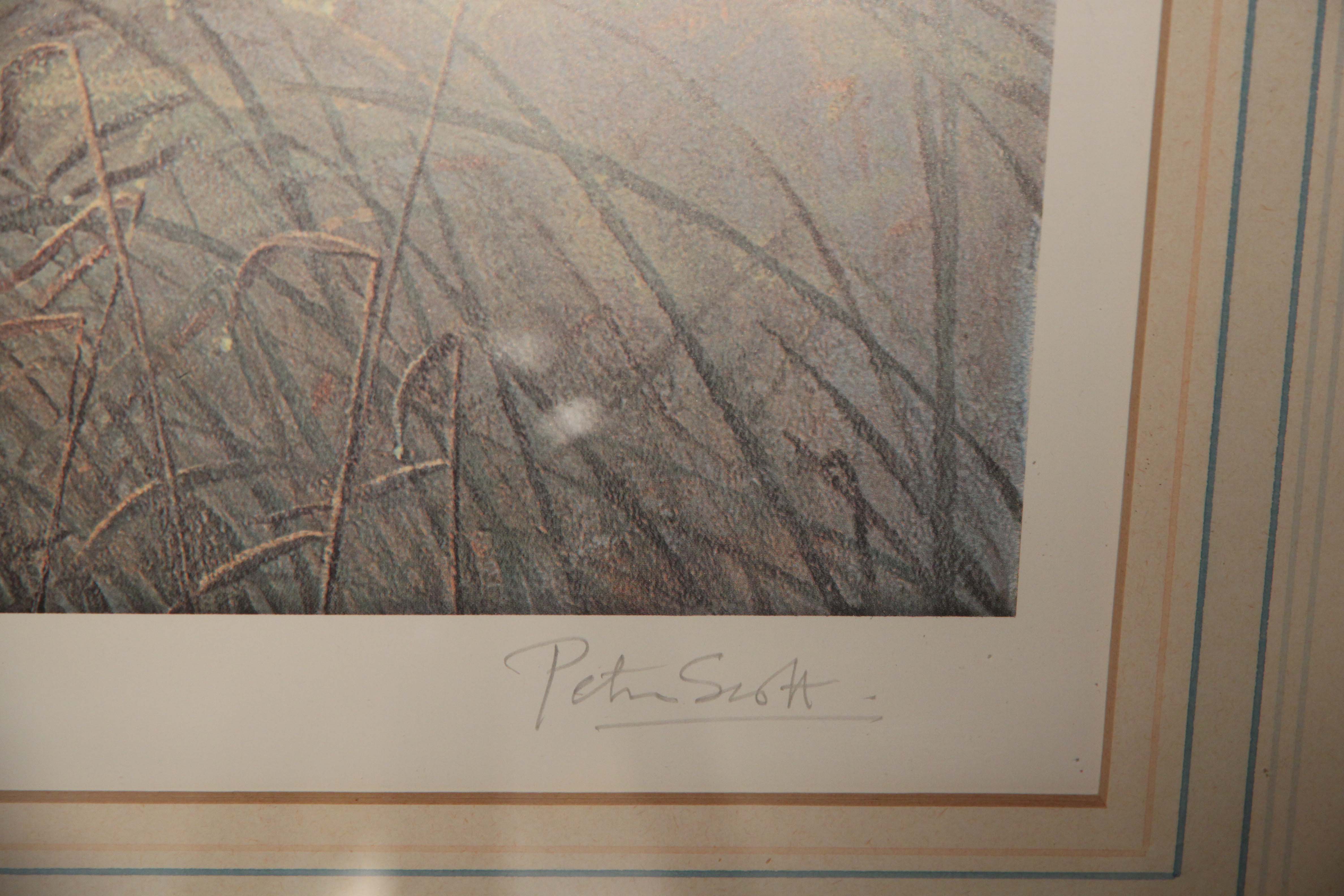 Click for larger image:  - 