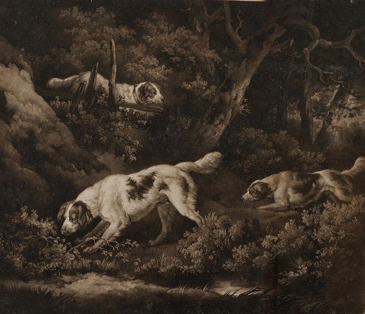 Click to see full size: Setters in a forest setting engraved by William Ward 