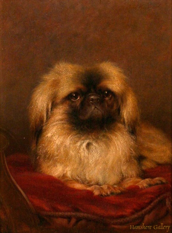 Click to see full size: Pekingese oil by Tom Heywood