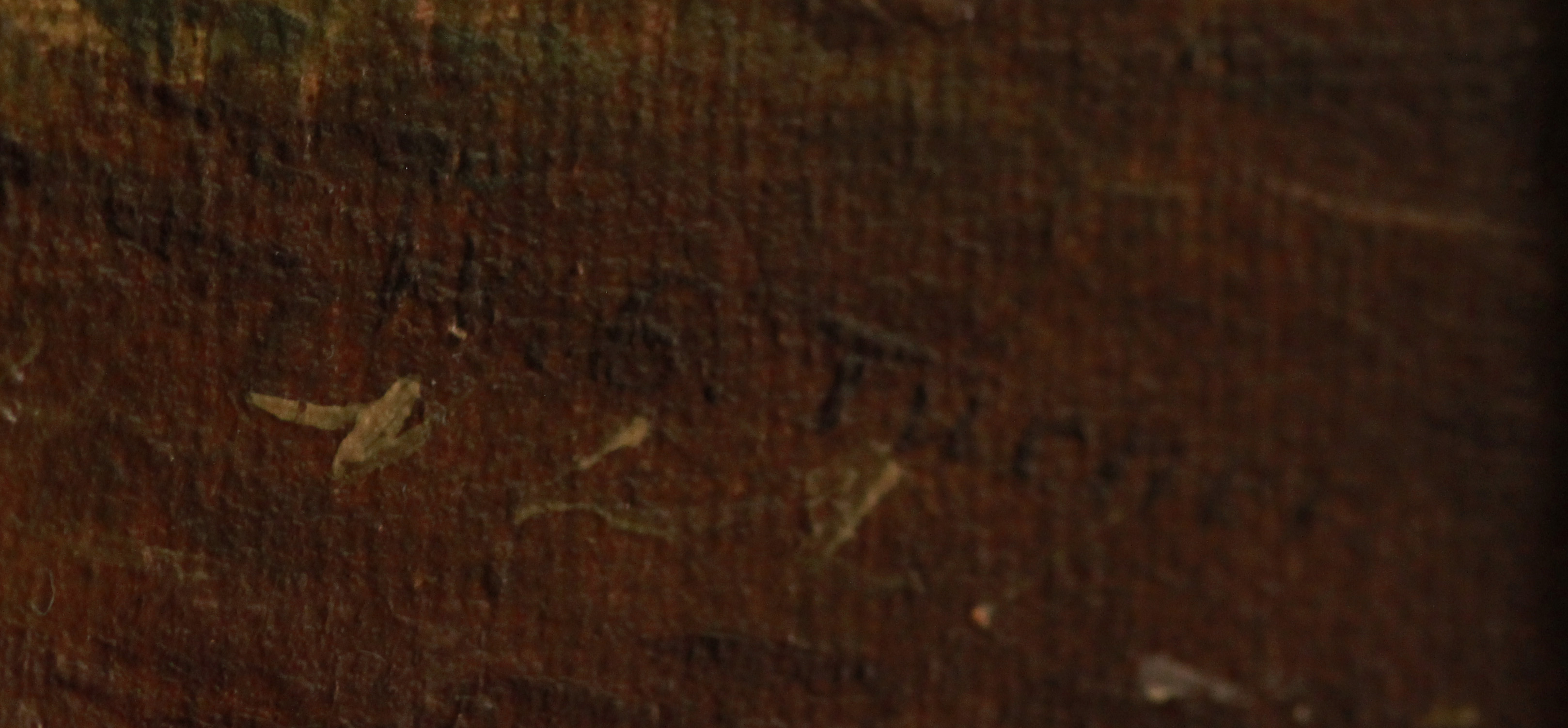 Click for larger image: Spitz by William Eddowes Turner signature - Spitz by William Eddowes Turner signature