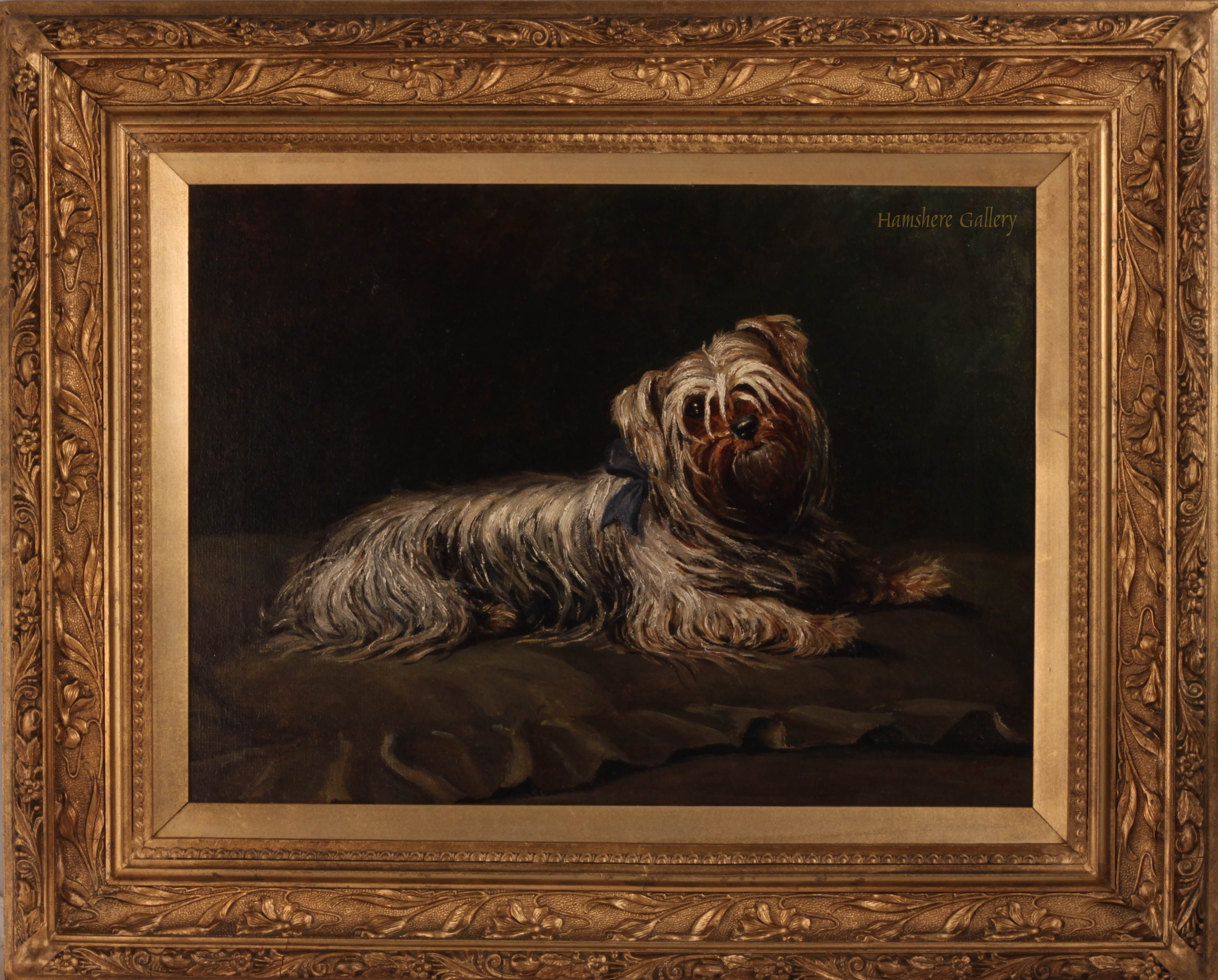 Click for larger image: Yorkshire Terrier by Winifred H Donkin Framed - Yorkshire Terrier by Winifred H Donkin Framed