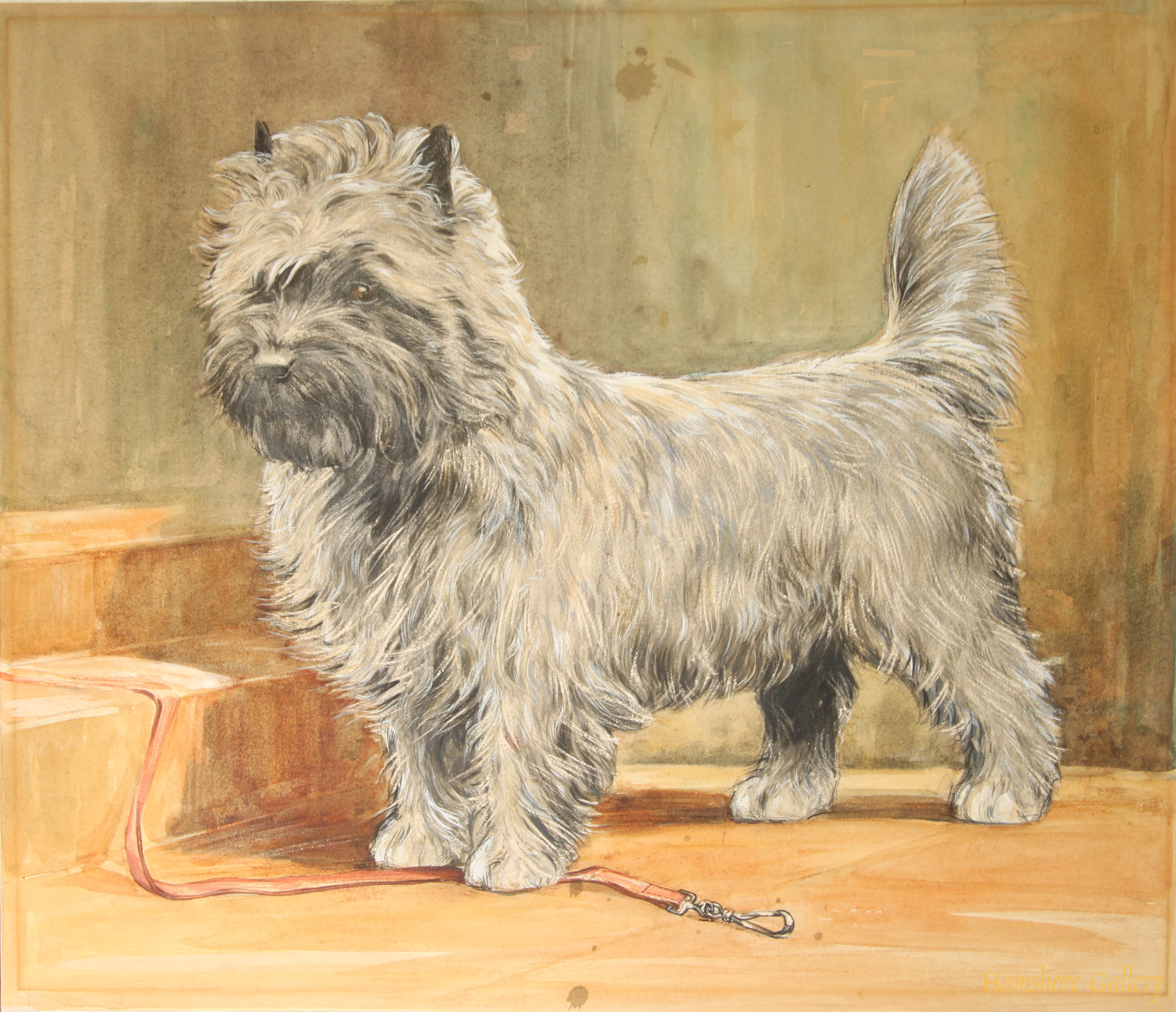 Click to see full size: Cain terrier by Marion Harvey