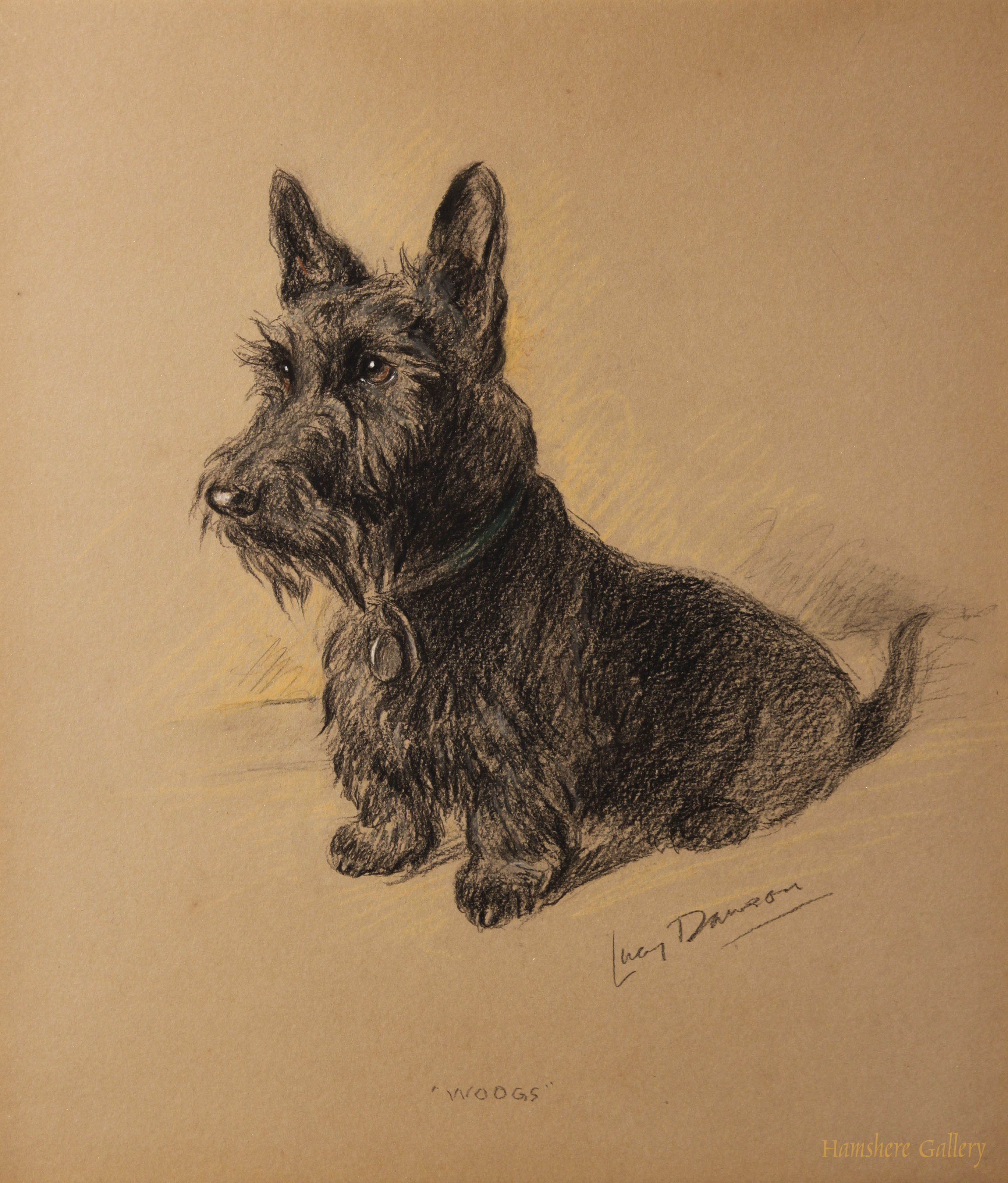 Click to see full size: Pastel of a Scottish Terrier by Lucy Dawson