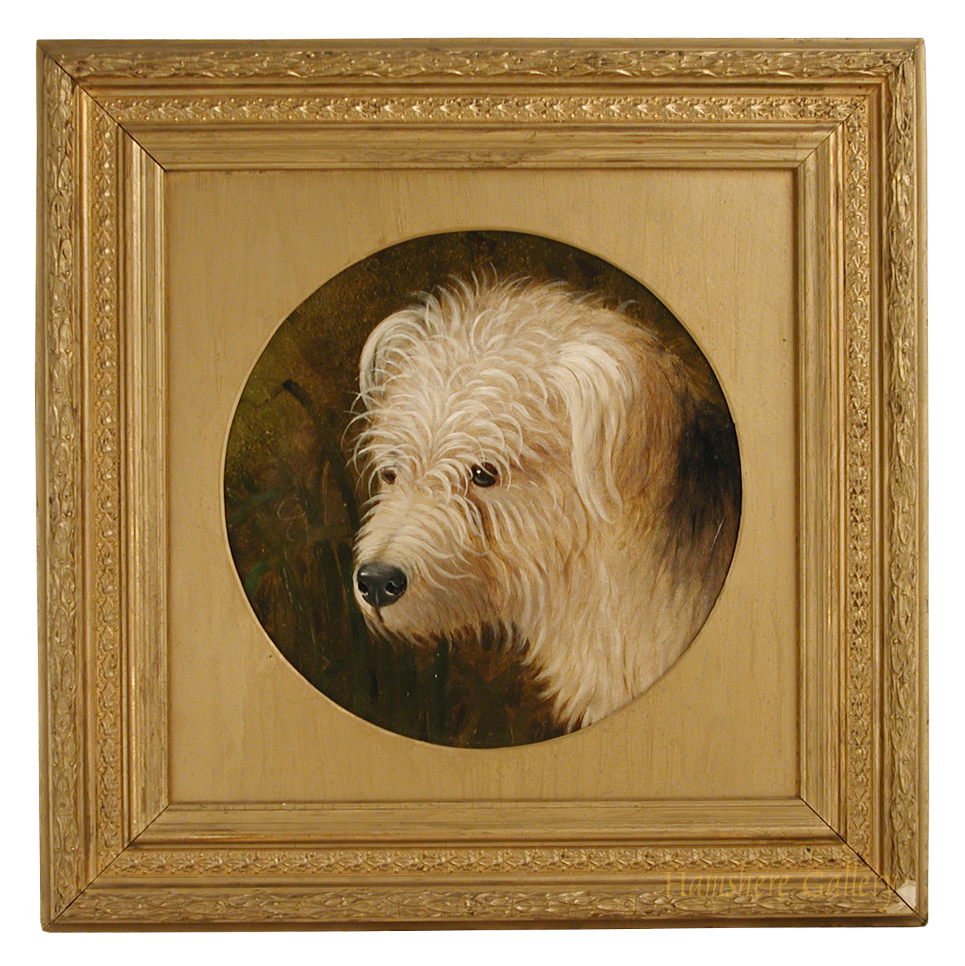 Click for larger image: 19th English Provincial School oil of a Dandy Dinmont type terrier - 19th English Provincial School oil of a Dandy Dinmont type terrier