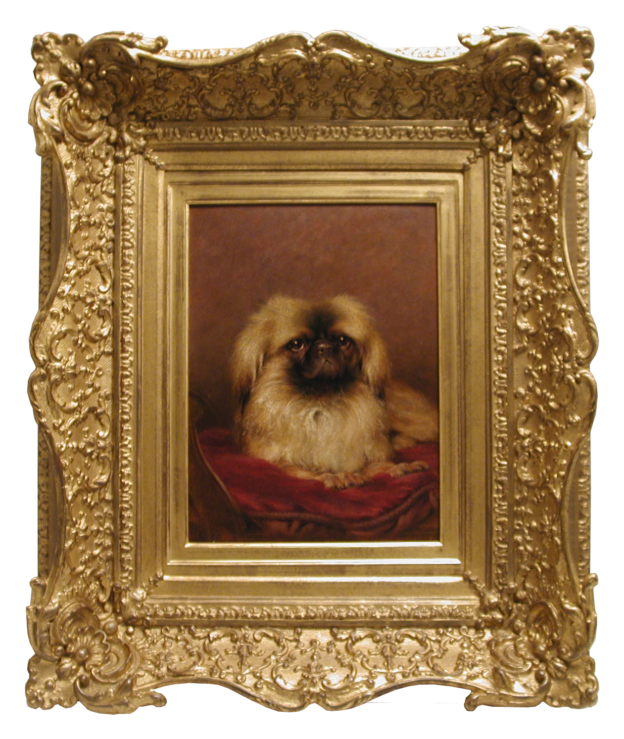 Click for larger image: Pekingese oil by Tom Heywood  - Pekingese oil by Tom Heywood 