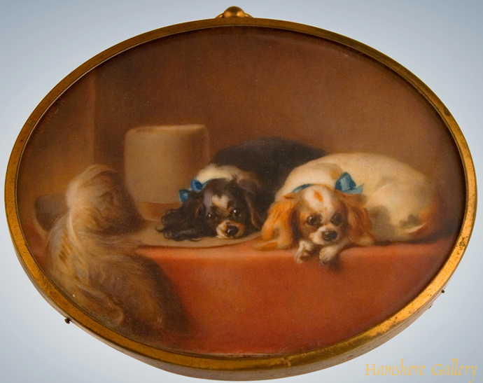 Click for larger image: King Charles Cavalier Spaniel - King Charles Cavalier Spaniel