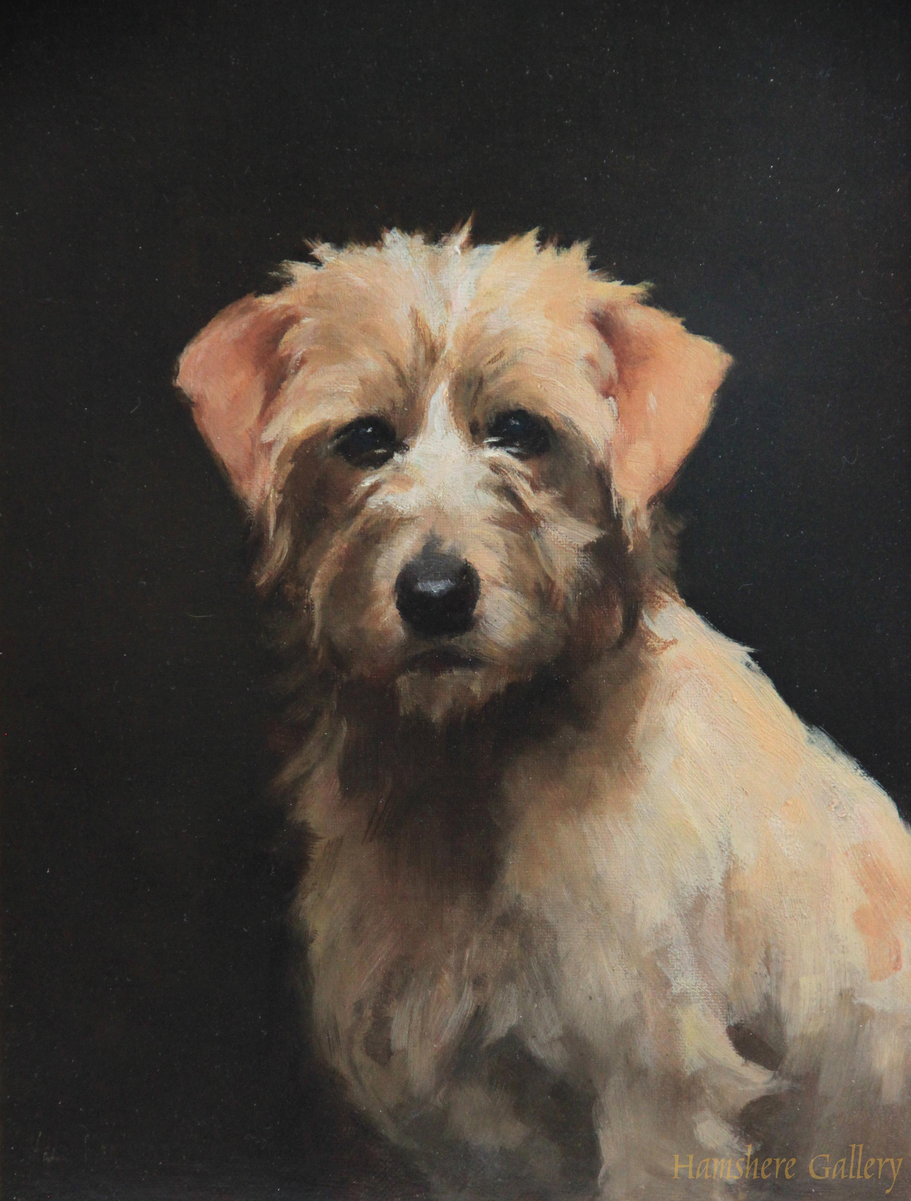 Click to see full size: A Victorian oil on canvas of a Norfolk Terrier by �Henry ....�