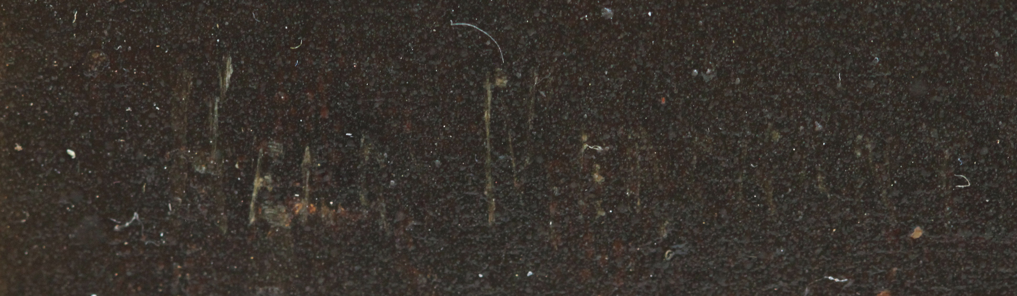 Click for larger image: A Victorian oil on canvas of a Norfolk Terrier signature - A Victorian oil on canvas of a Norfolk Terrier signature