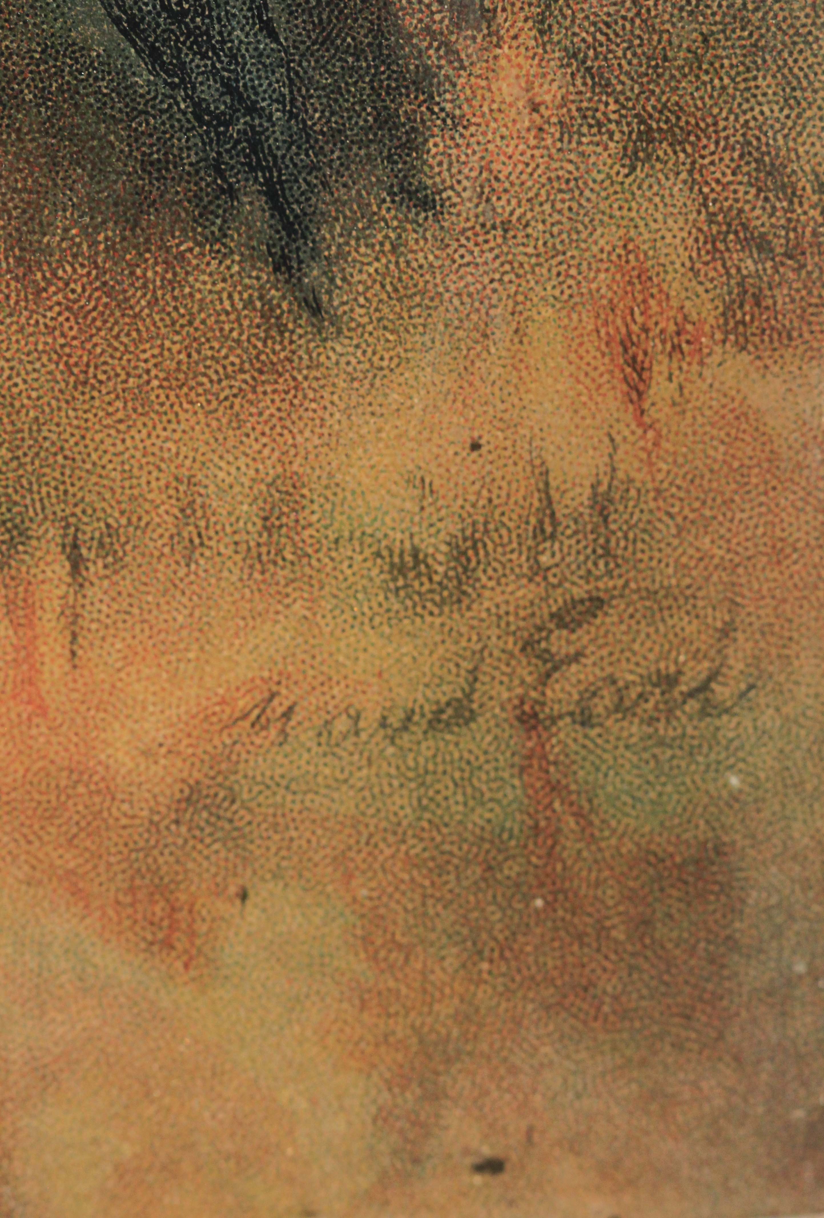 Click for larger image: Retriever: Driving” a Flat Coated / Coat Retriever photographische by Maud Earl - Retriever: Driving” a Flat Coated / Coat Retriever photographische by Maud Earl