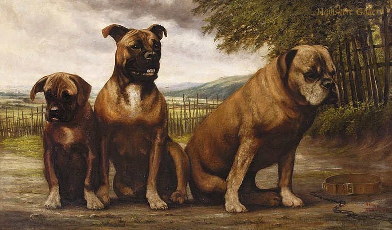 Click to see full size: Boxer dogs by Lord Edward Joseph