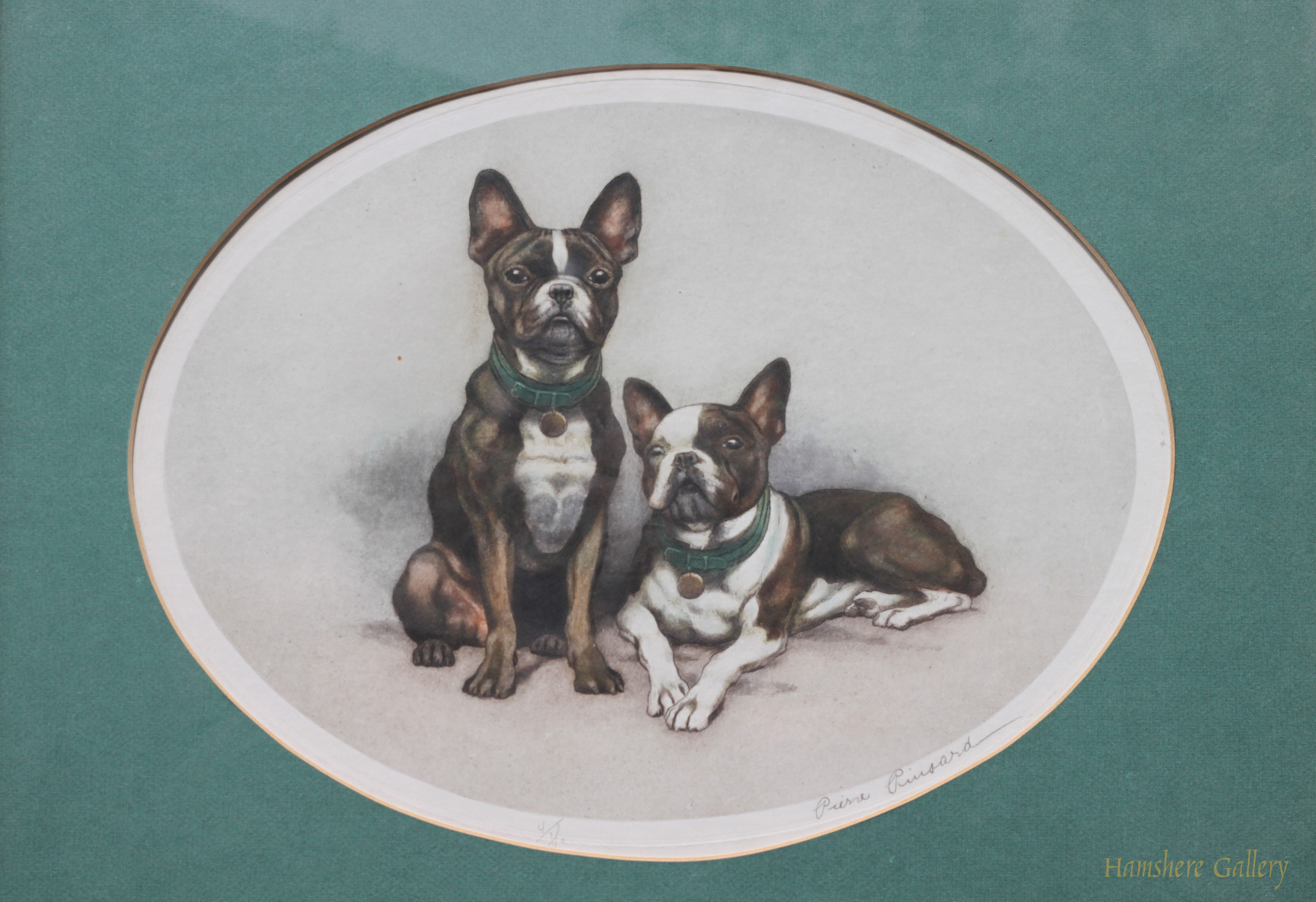 Click for larger image: French Bulldogs by Pierre Pinsard - French Bulldogs by Pierre Pinsard