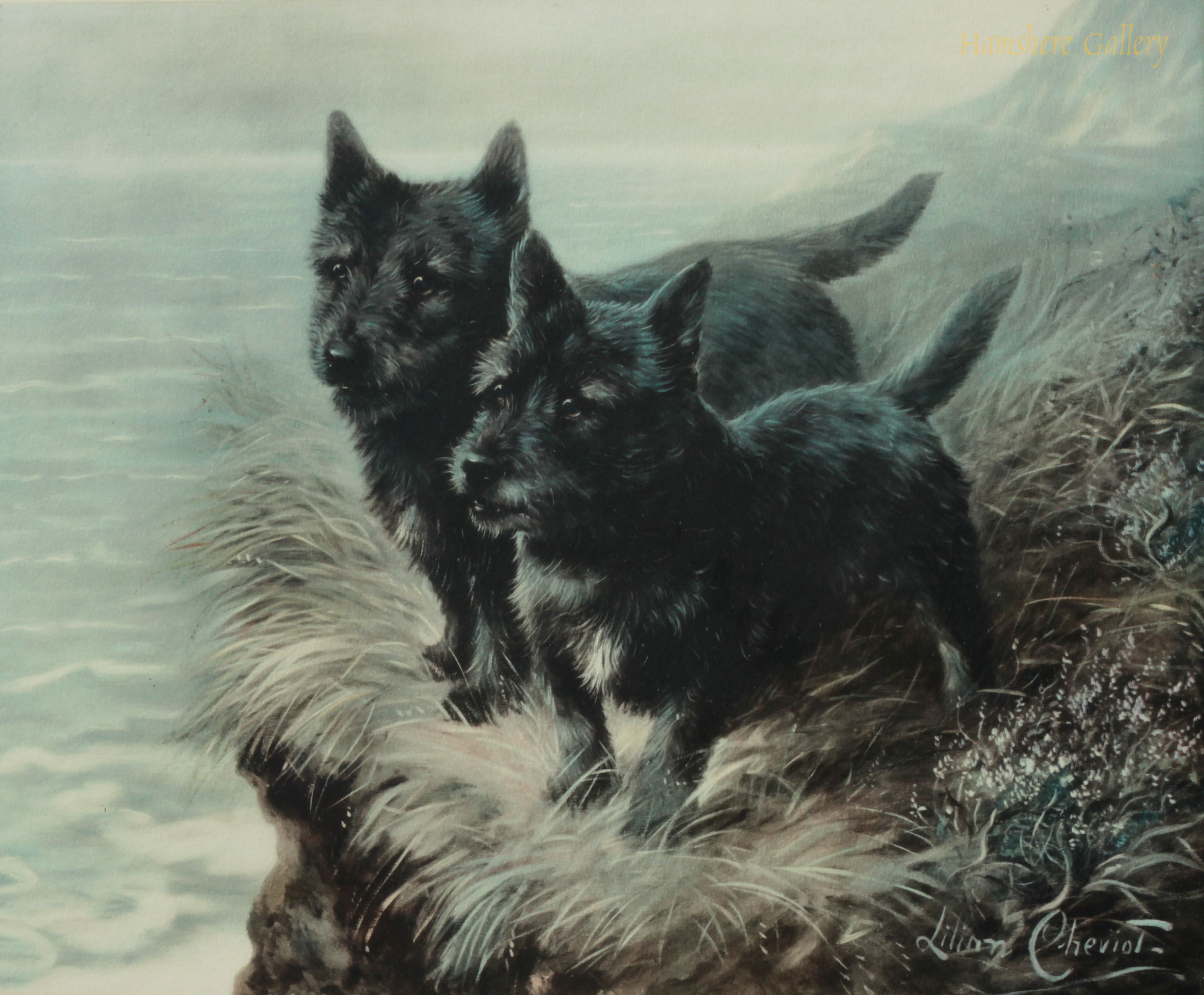 Click to see full size: Scottish Terrier lithograph by Lillian Cheviot