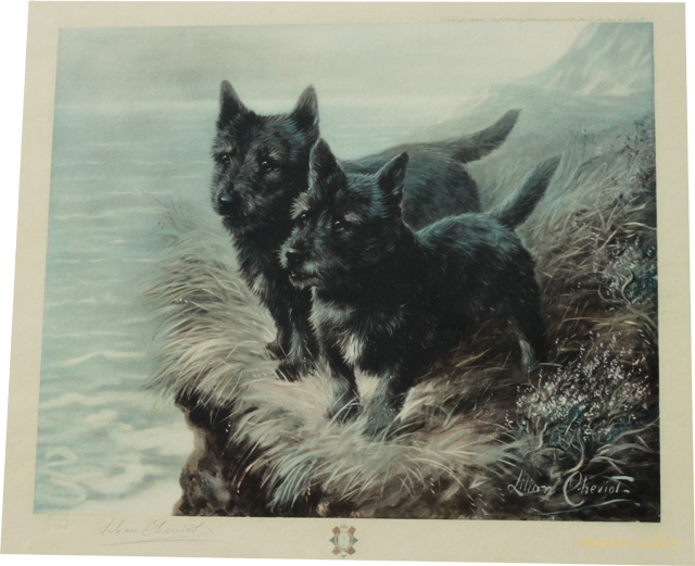 Click for larger image: Scottish Terrier lithograph by Lillian Cheviot - Scottish Terrier lithograph by Lillian Cheviot