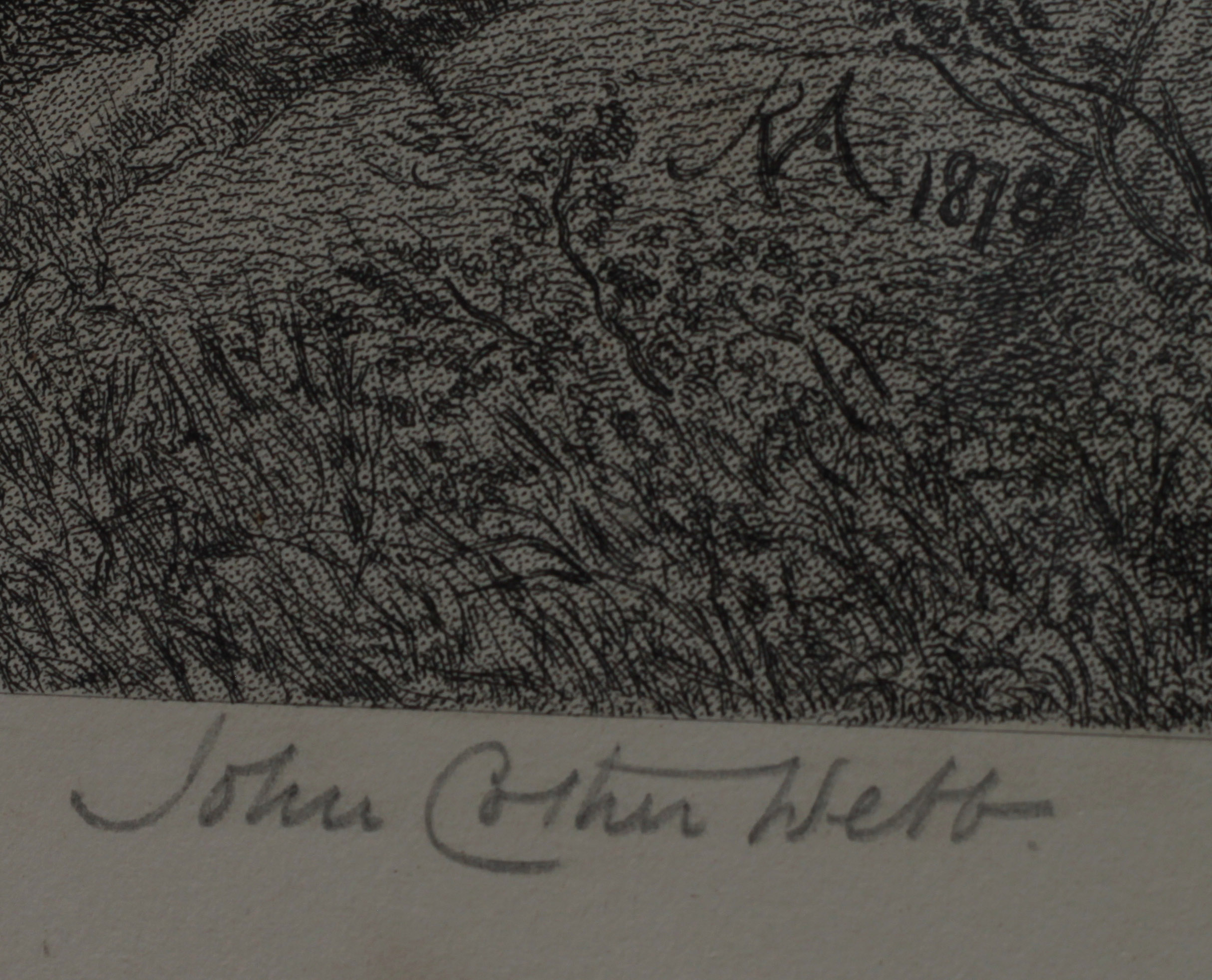 Click for larger image: English Setters and pheasant by John Cother Webb  - English Setters and pheasant by John Cother Webb 